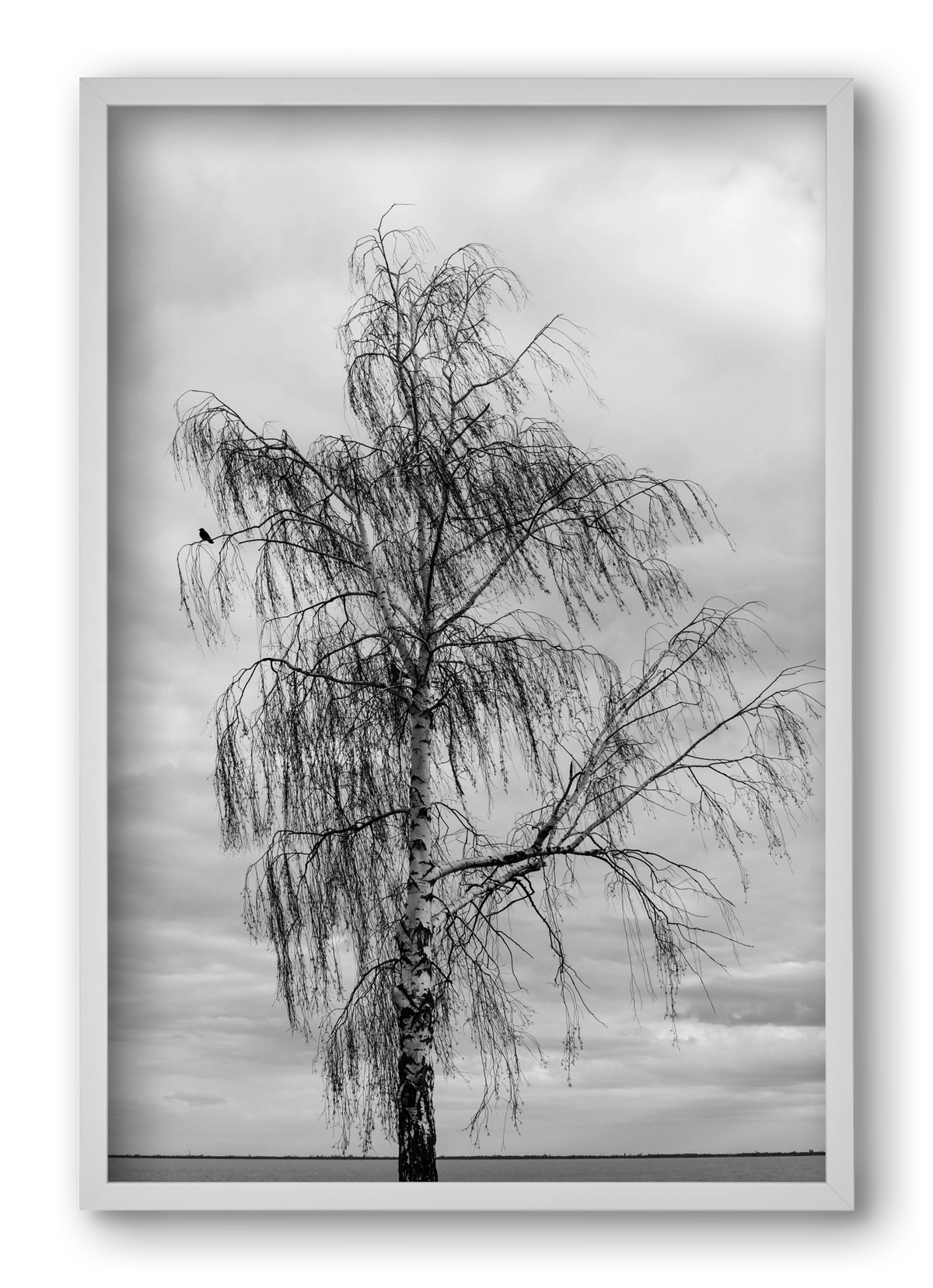 empire, 40x60 cm (40x60 cm), Fehér keret