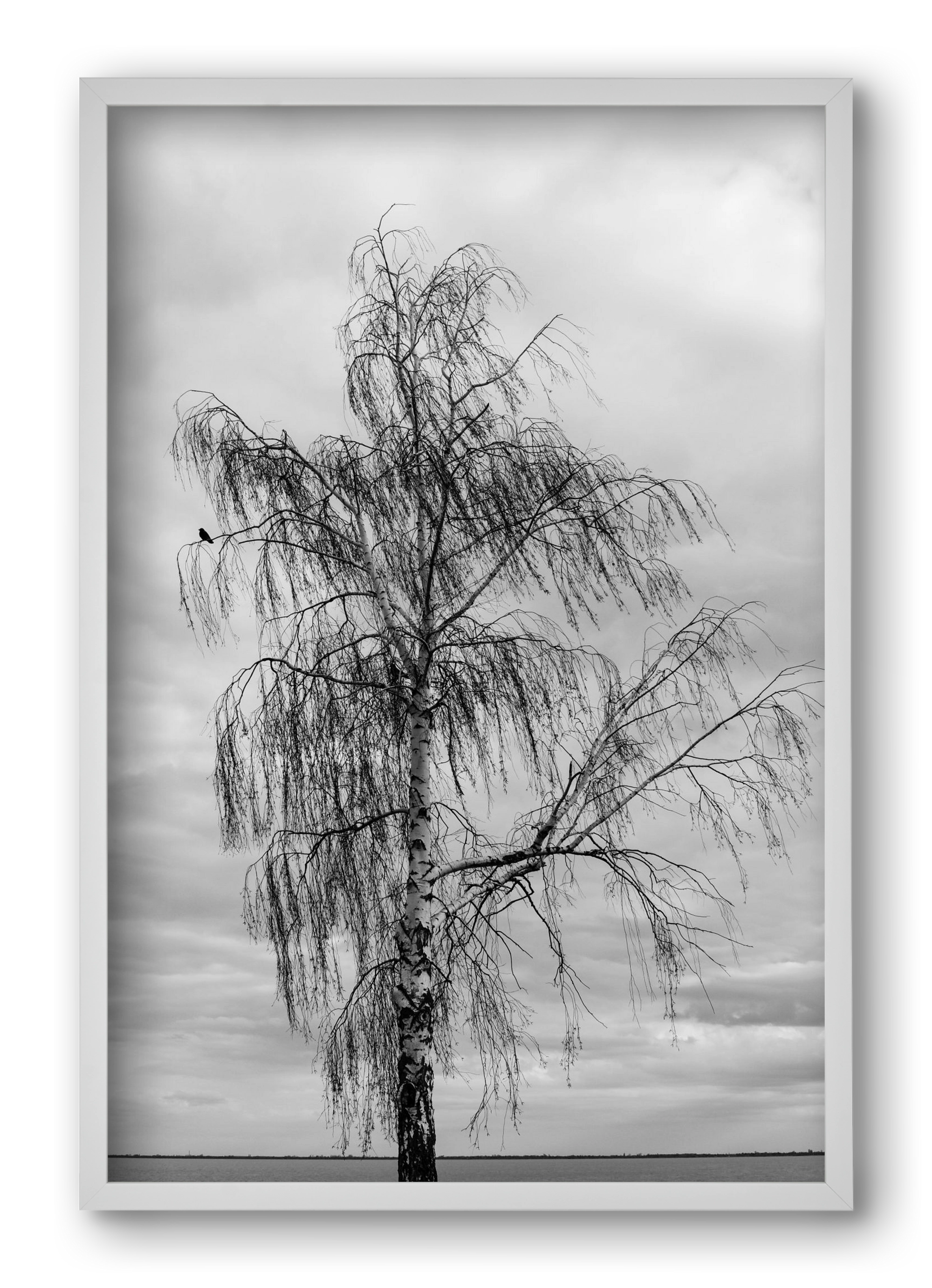 empire, 40x60 cm (40x60 cm), Fehér keret