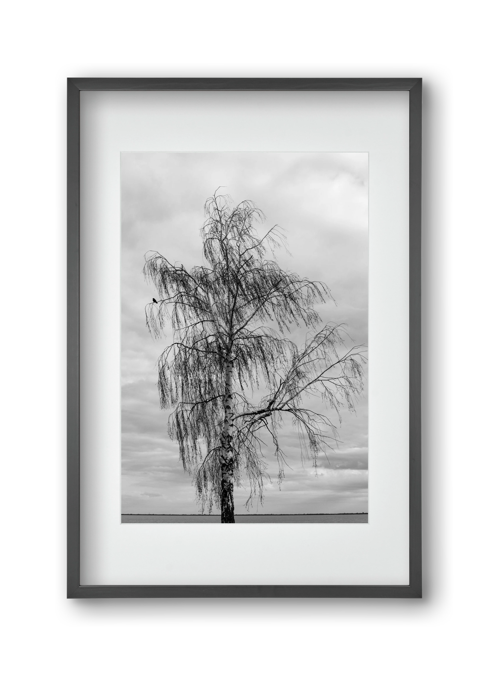 empire, 30x45 cm (20x30 cm), Fekete keret, paszpartuval