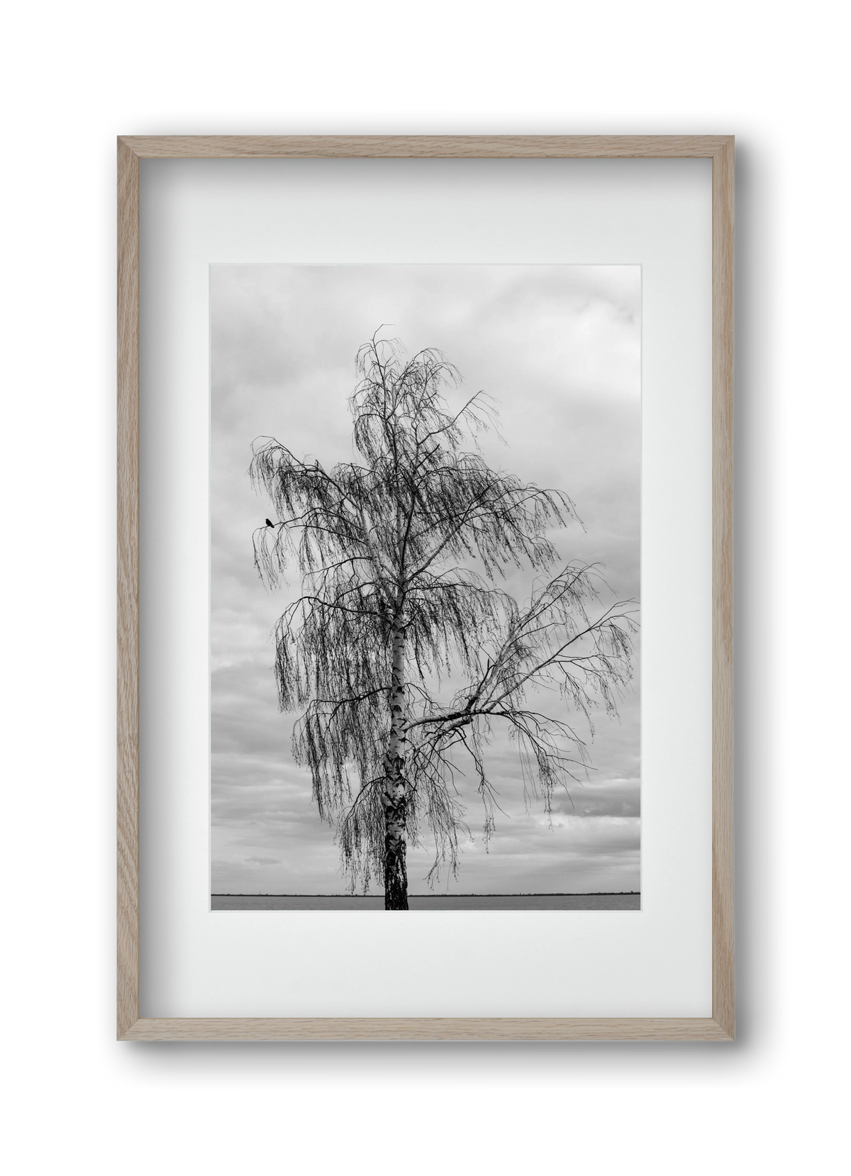 empire, 30x45 cm (20x30 cm), Tölgy keret, paszpartuval