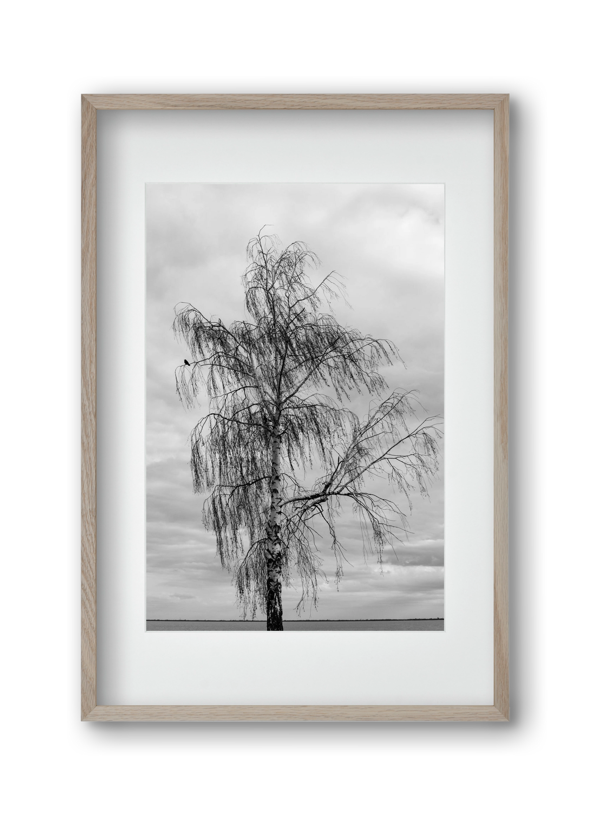 empire, 30x45 cm (20x30 cm), Tölgy keret, paszpartuval