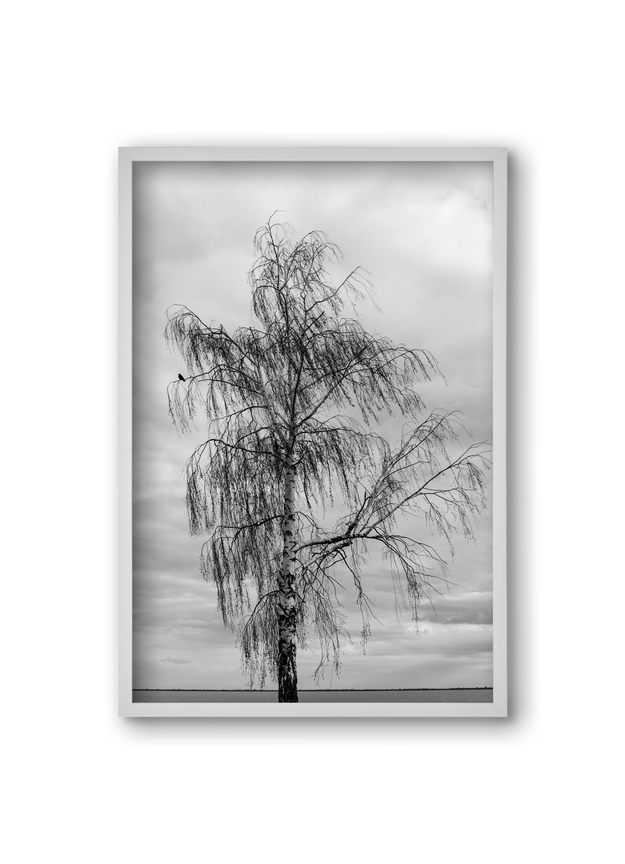 empire, 20x30 cm (20x30 cm), Fehér keret