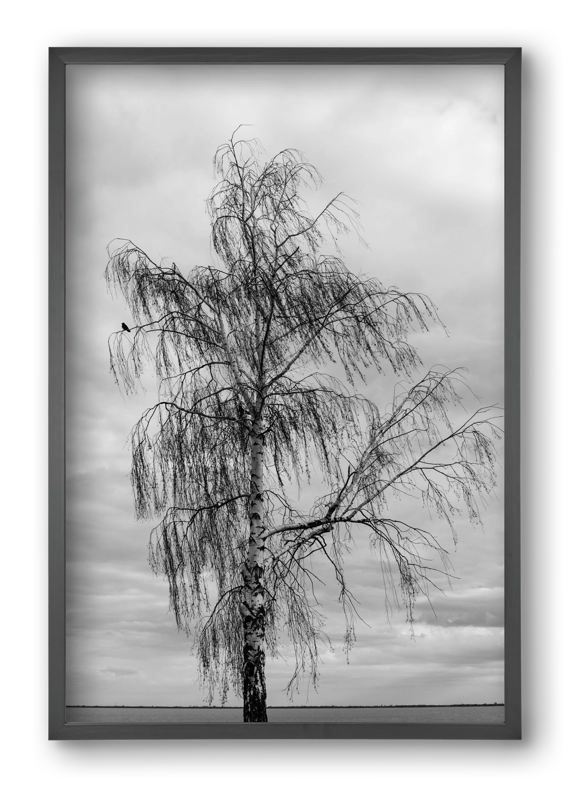 empire, 40x60 cm (40x60 cm), Fekete keret