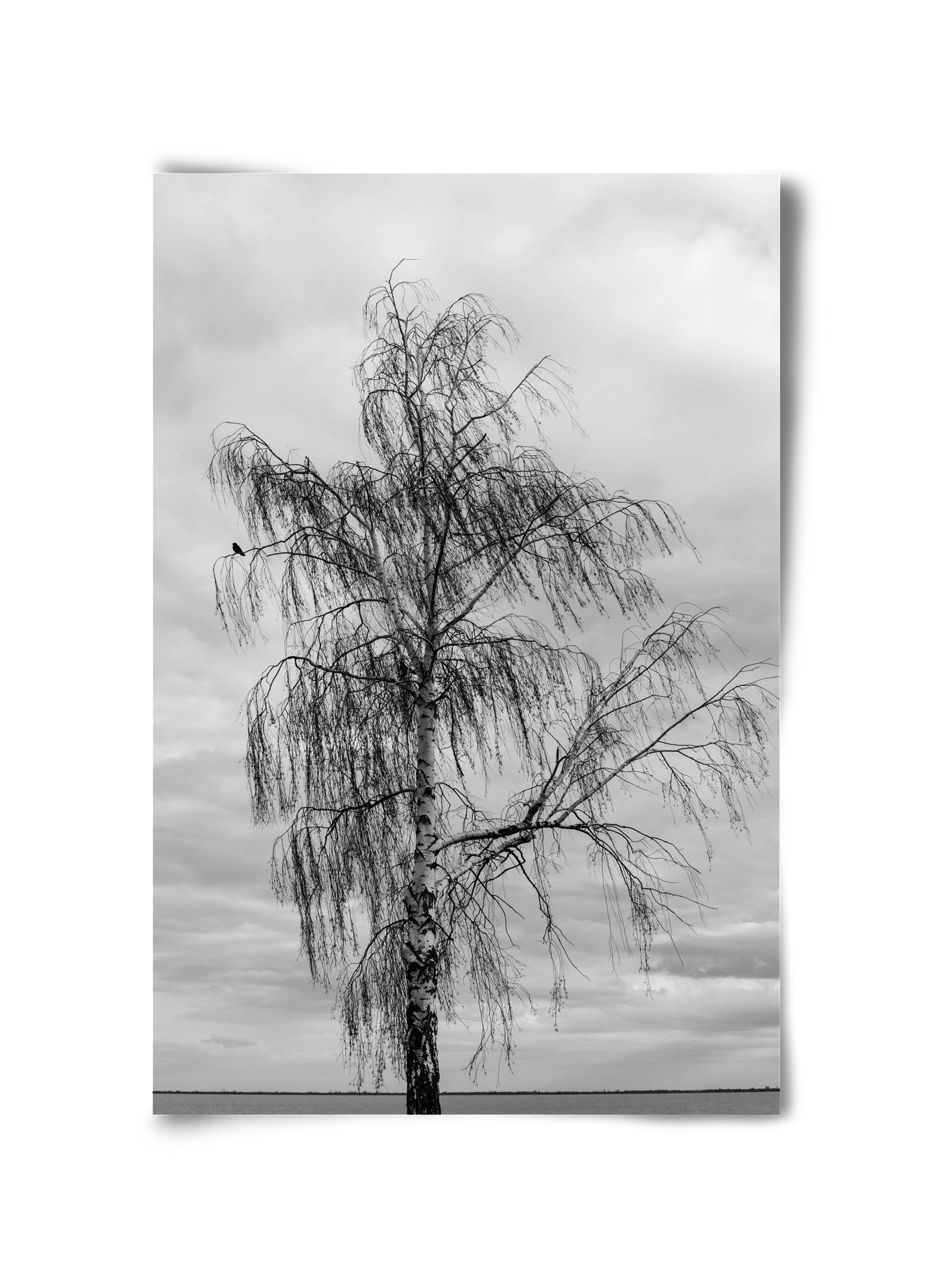 empire, 30x45 cm, Keret nélkül