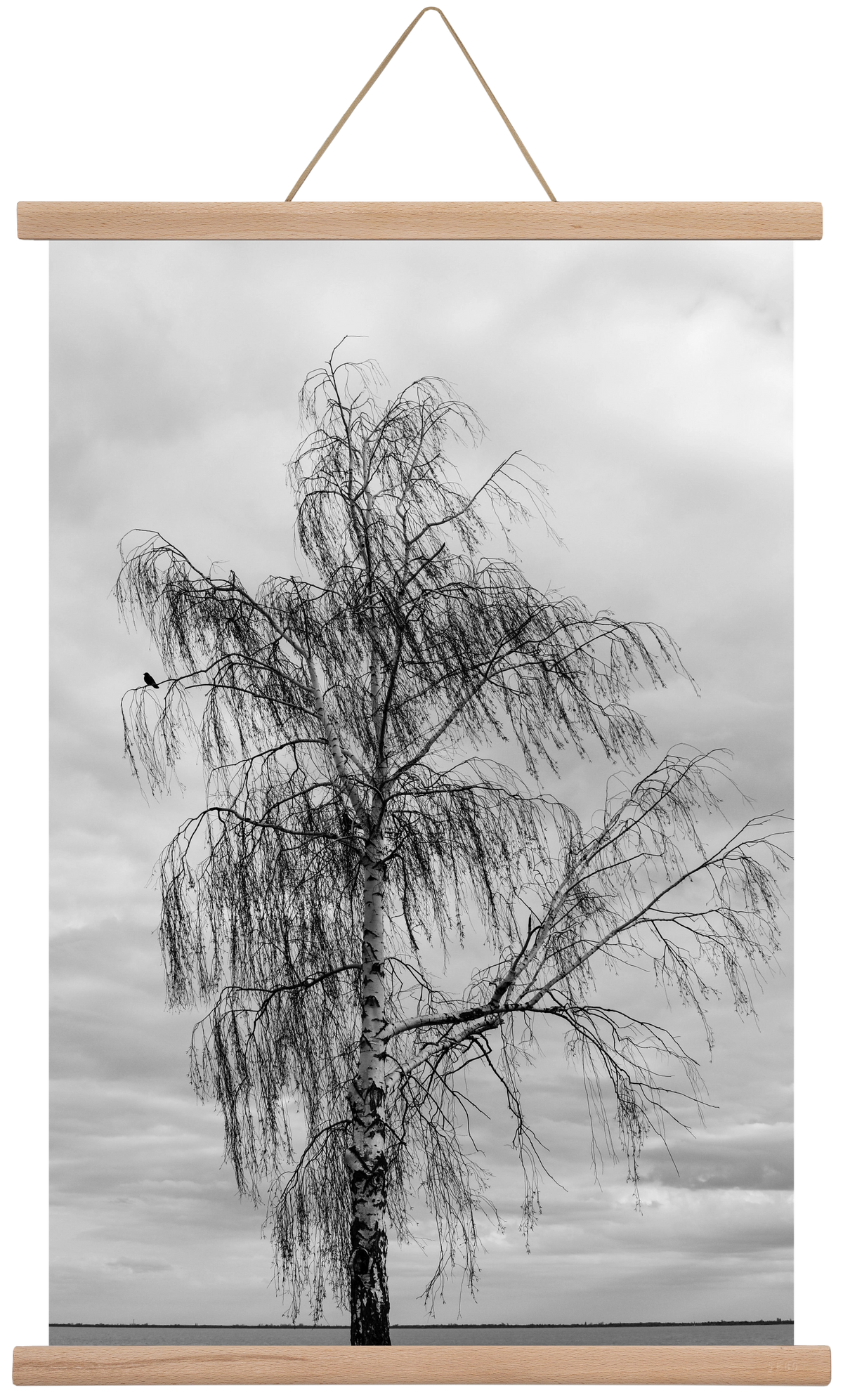 empire, 40x60 cm (40x60 cm), Tölgy akasztó