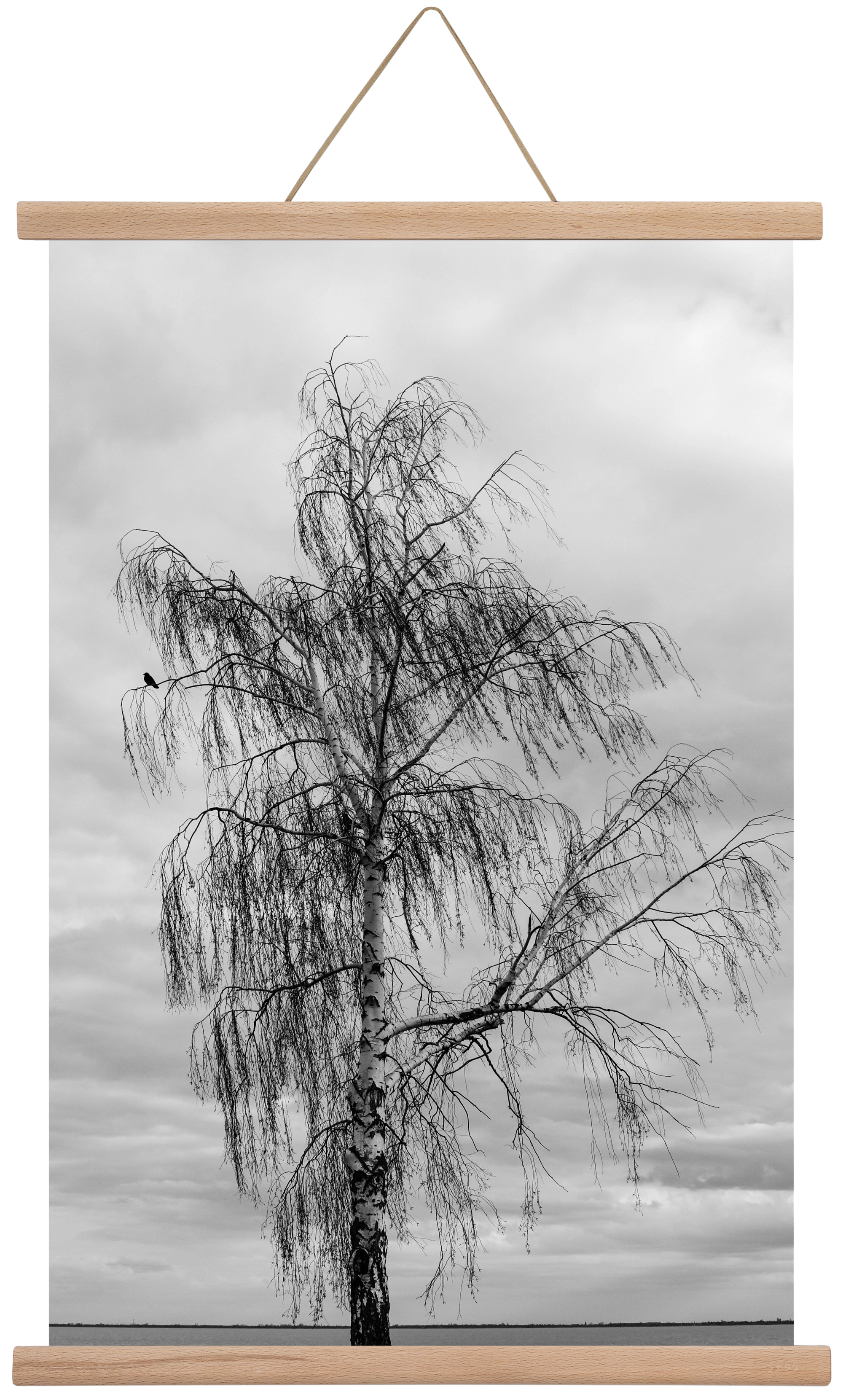 empire, 40x60 cm (40x60 cm), Tölgy akasztó