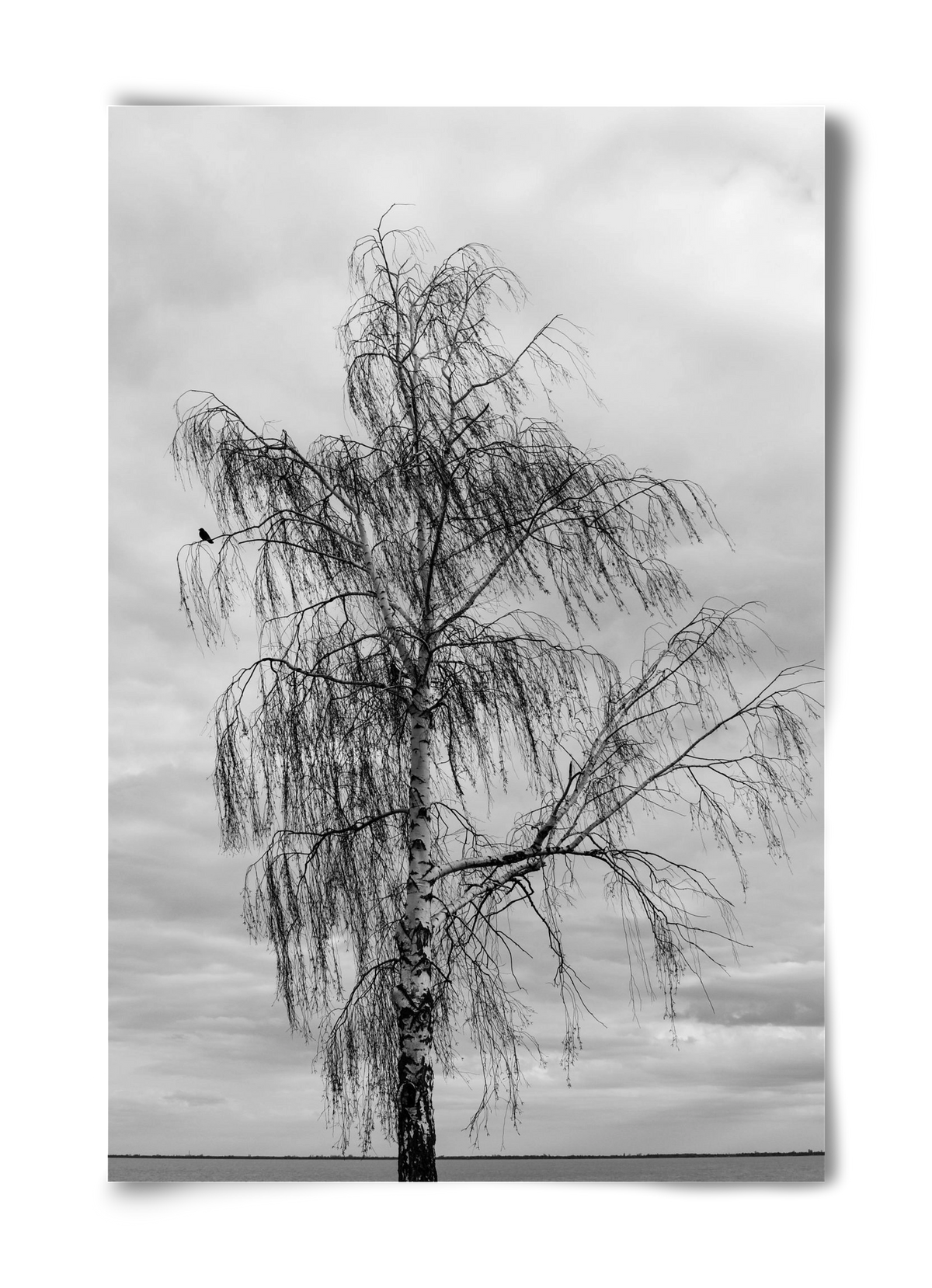 empire, 40x60 cm, Keret nélkül