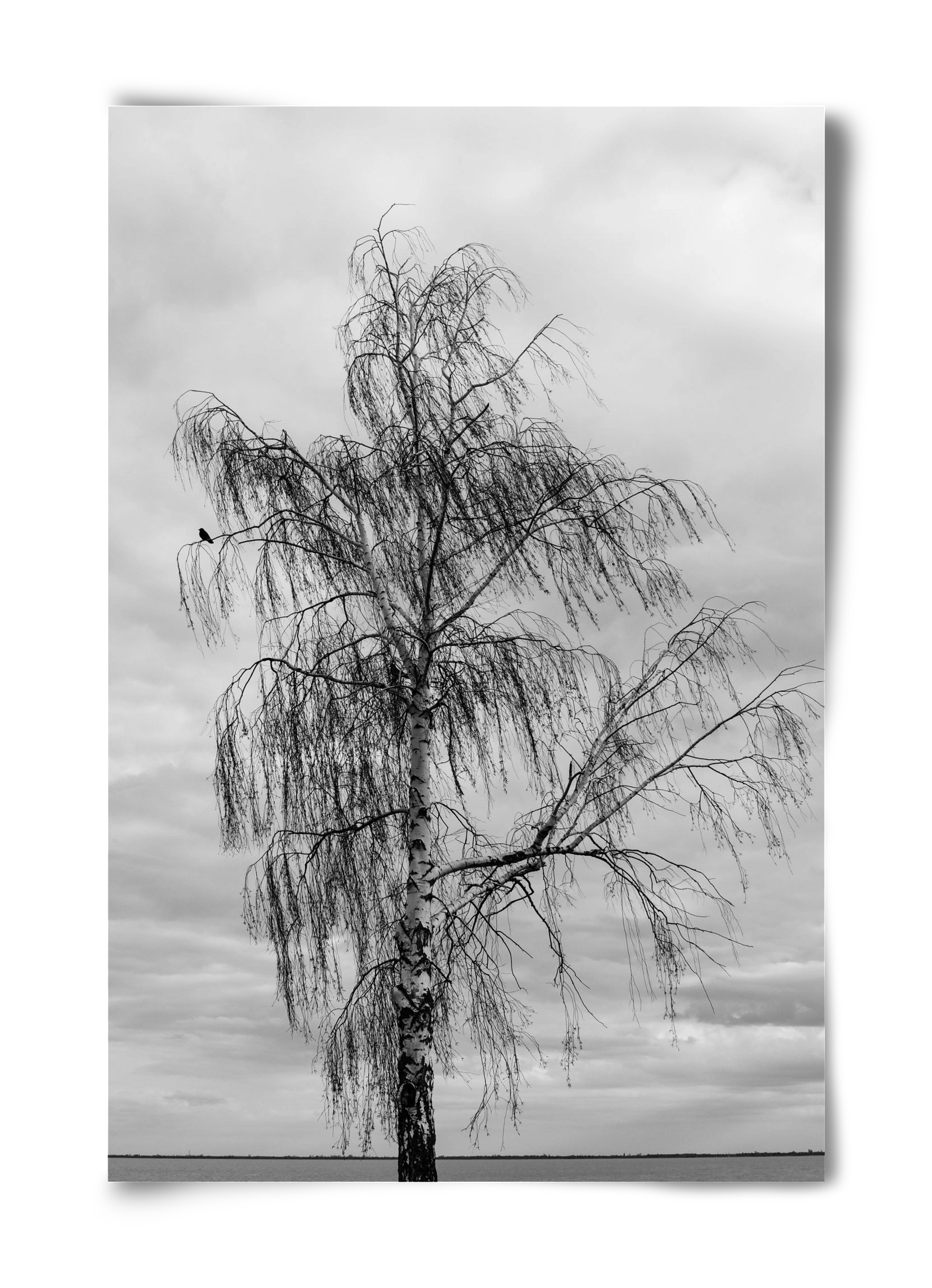 empire, 40x60 cm, Keret nélkül