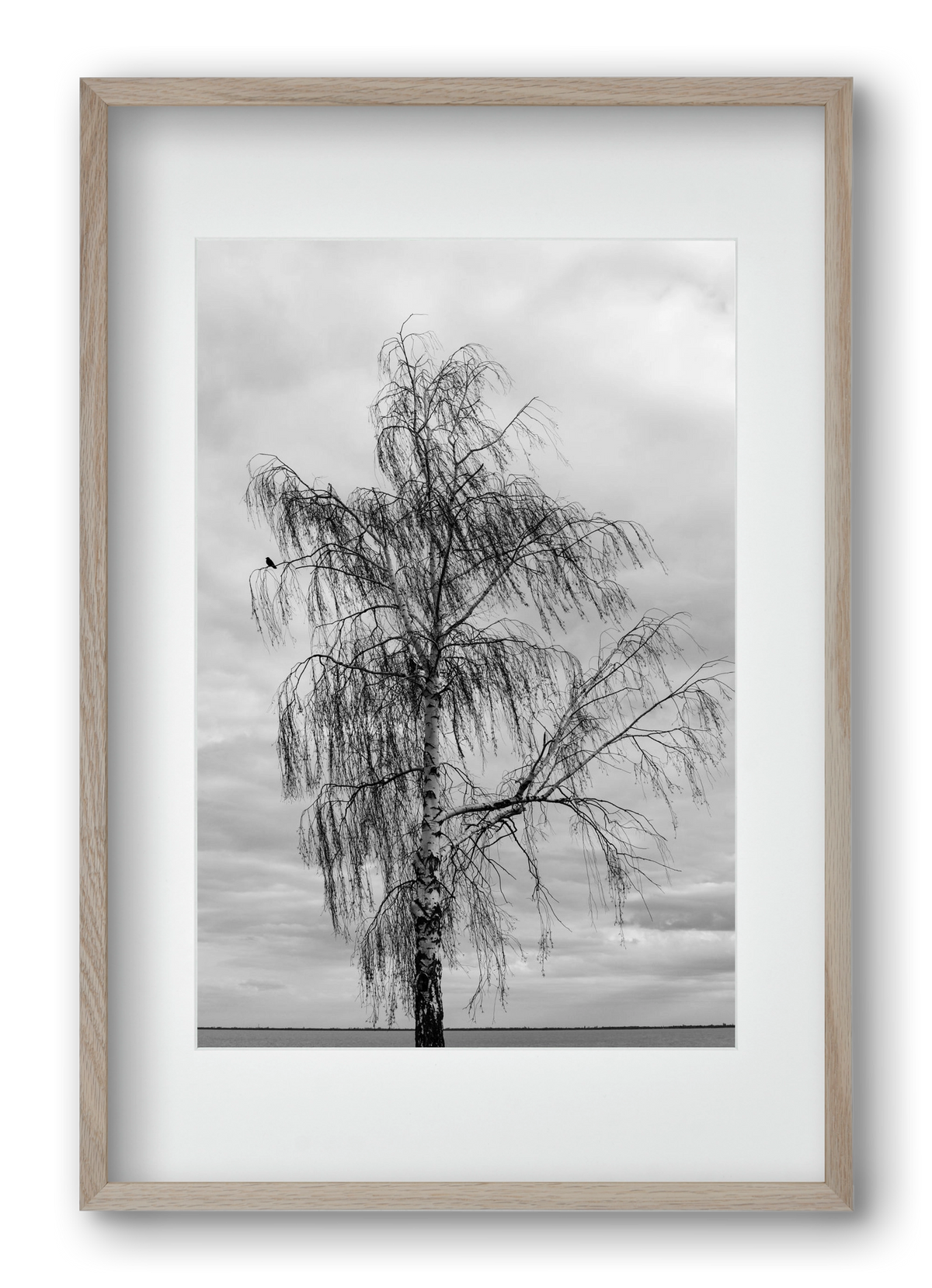 empire, 40x60 cm (30x45 cm), Tölgy keret, paszpartuval