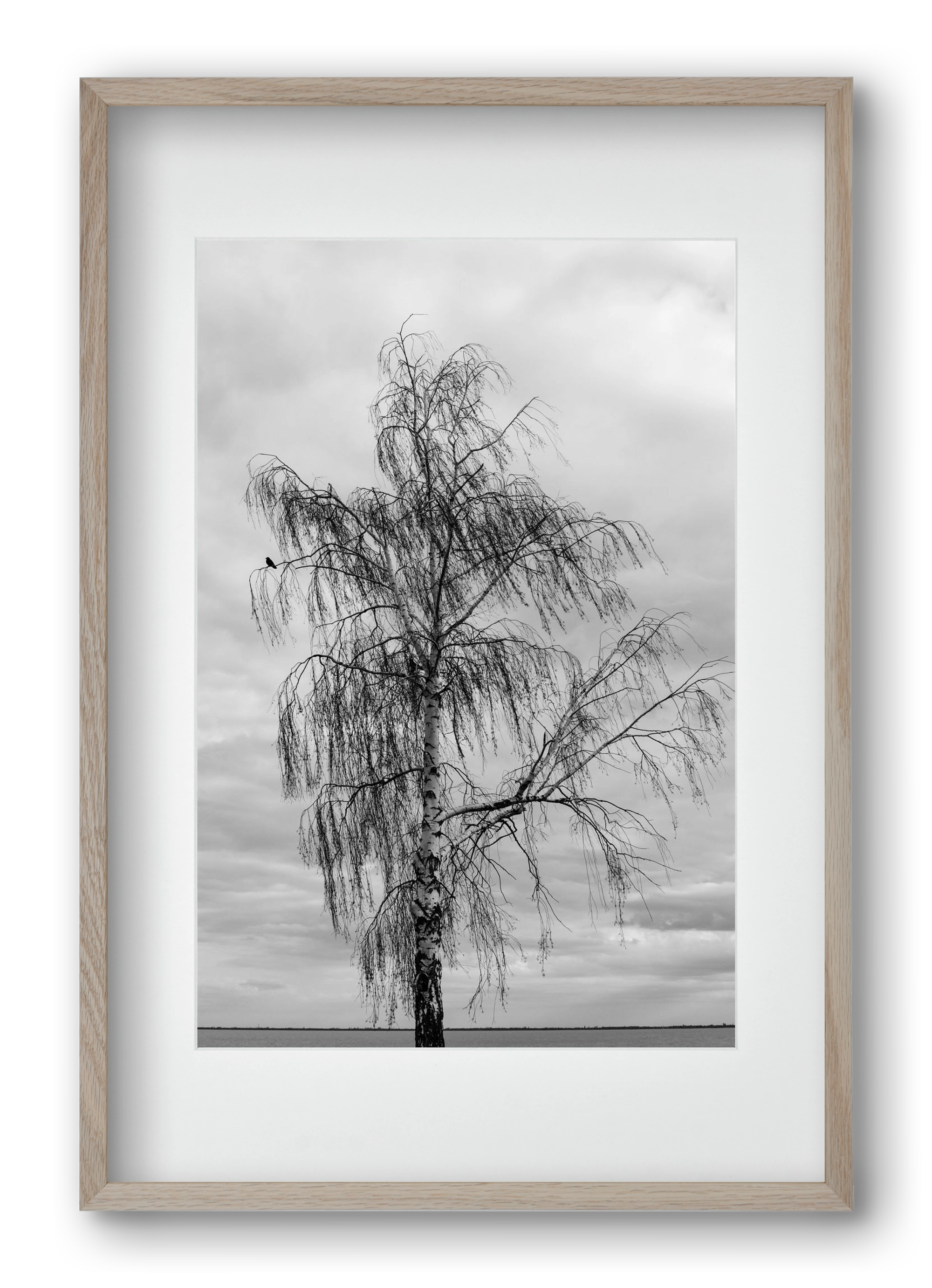 empire, 40x60 cm (30x45 cm), Tölgy keret, paszpartuval