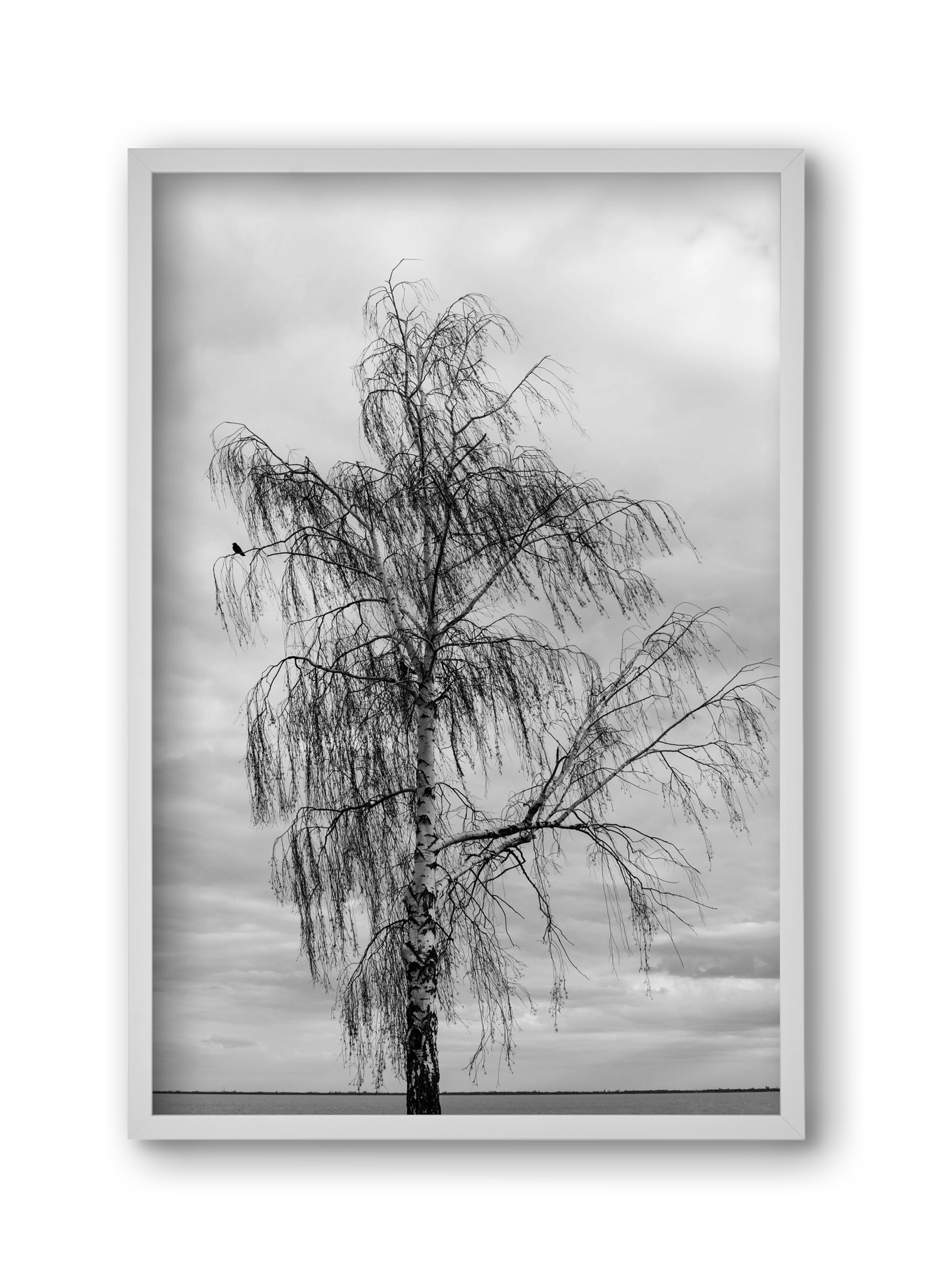 empire, 30x45 cm (30x45 cm), Fehér keret