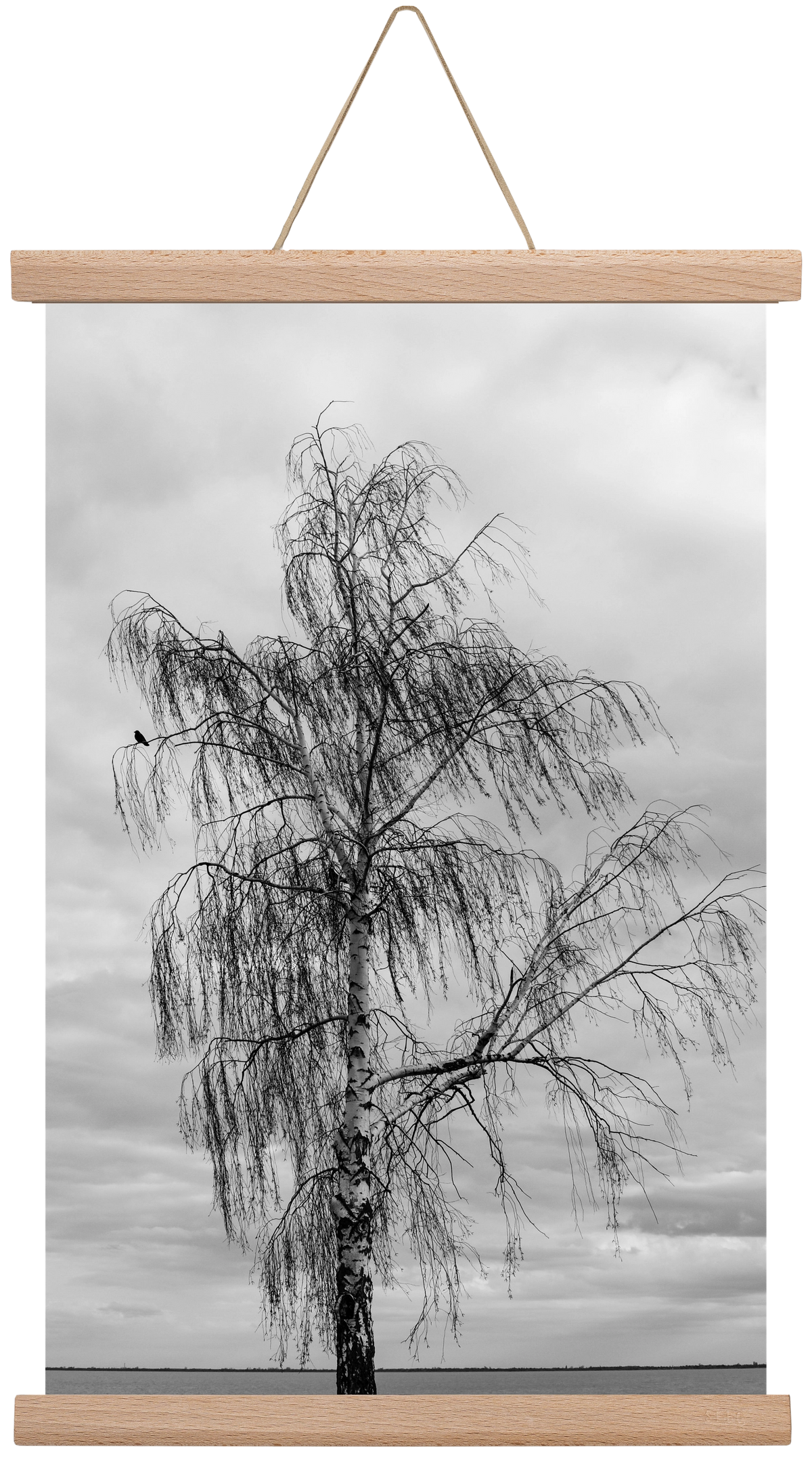 empire, 30x45 cm (30x45 cm), Tölgy akasztó