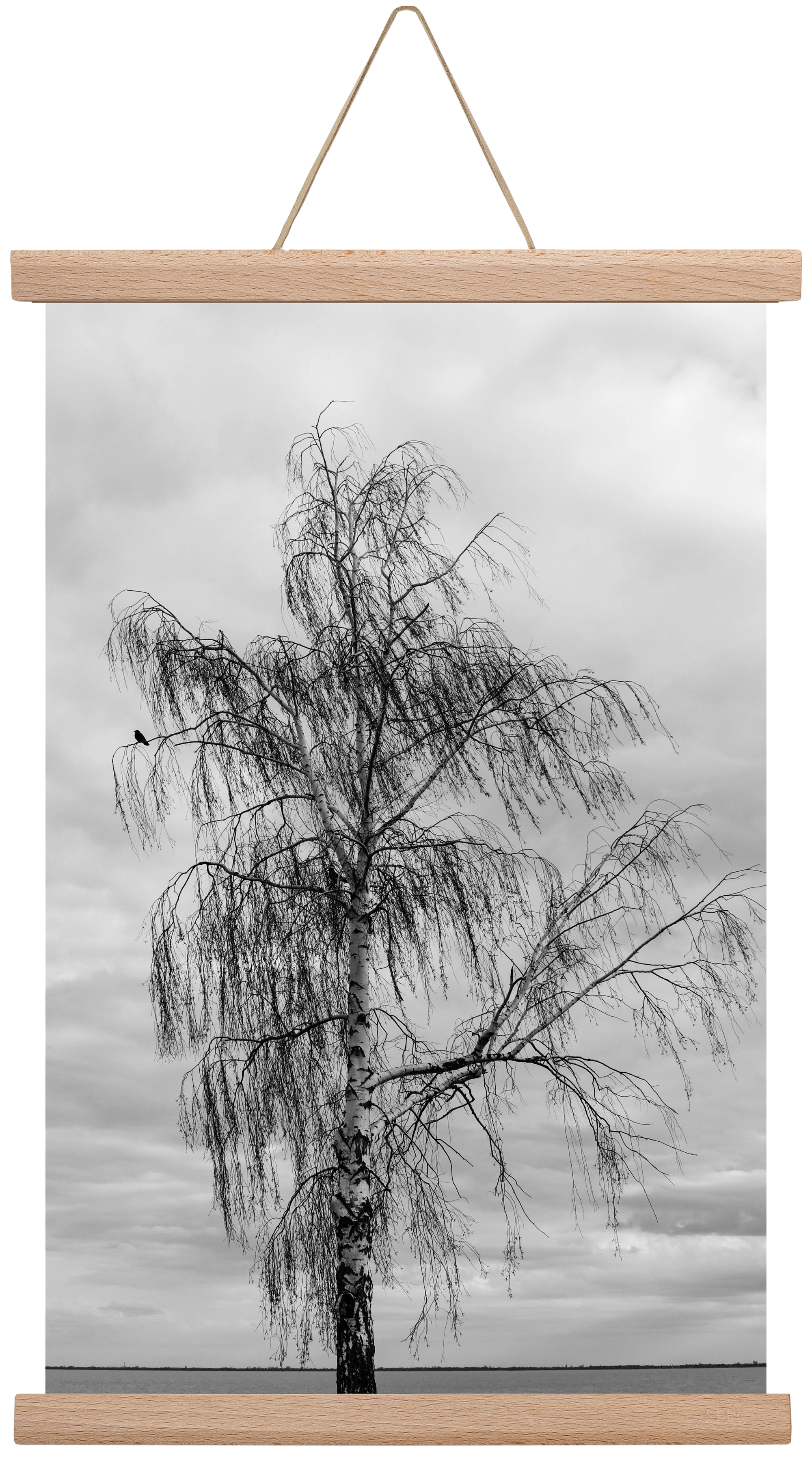 empire, 30x45 cm (30x45 cm), Tölgy akasztó
