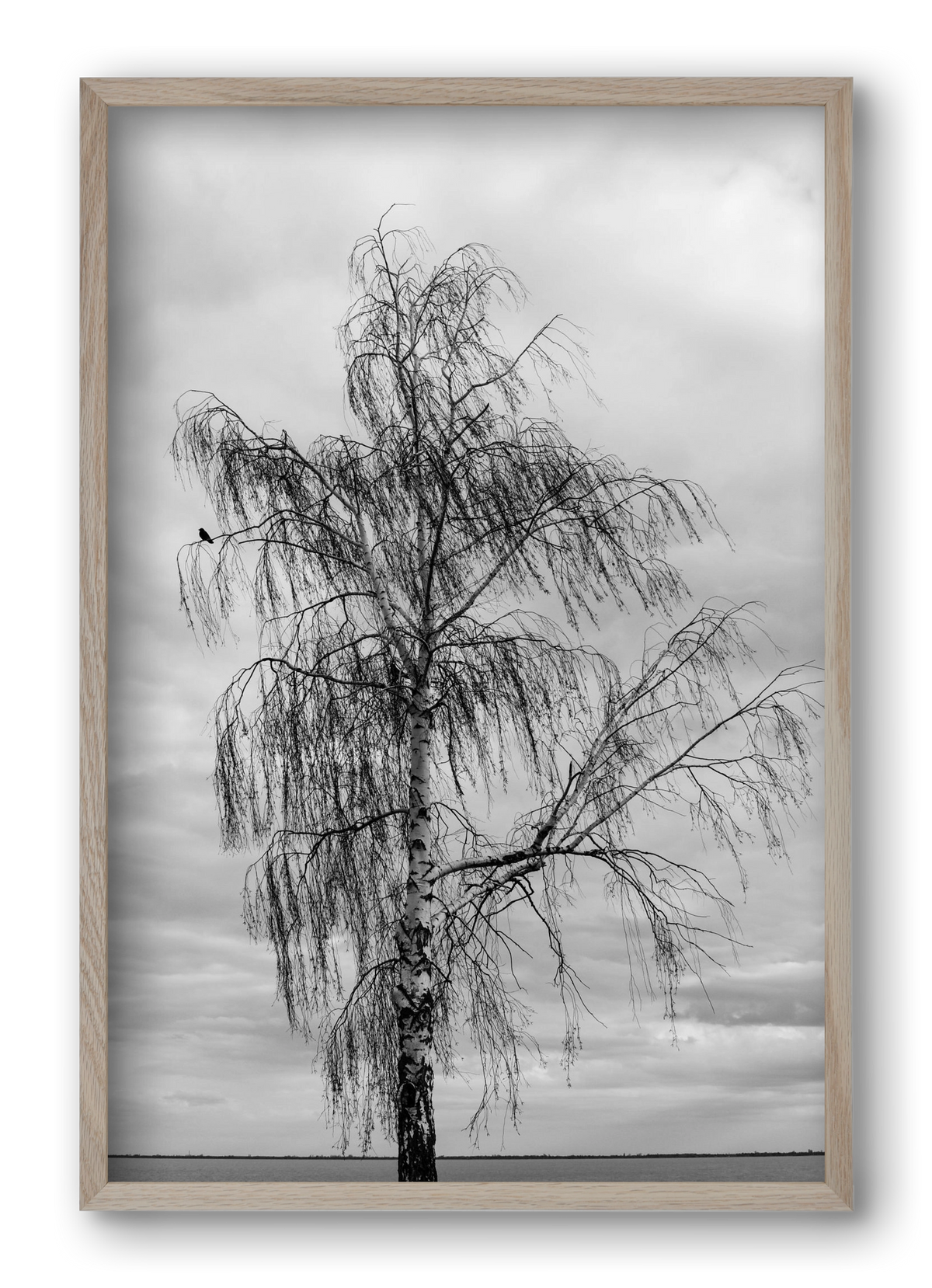 empire, 40x60 cm (40x60 cm), Tölgy keret