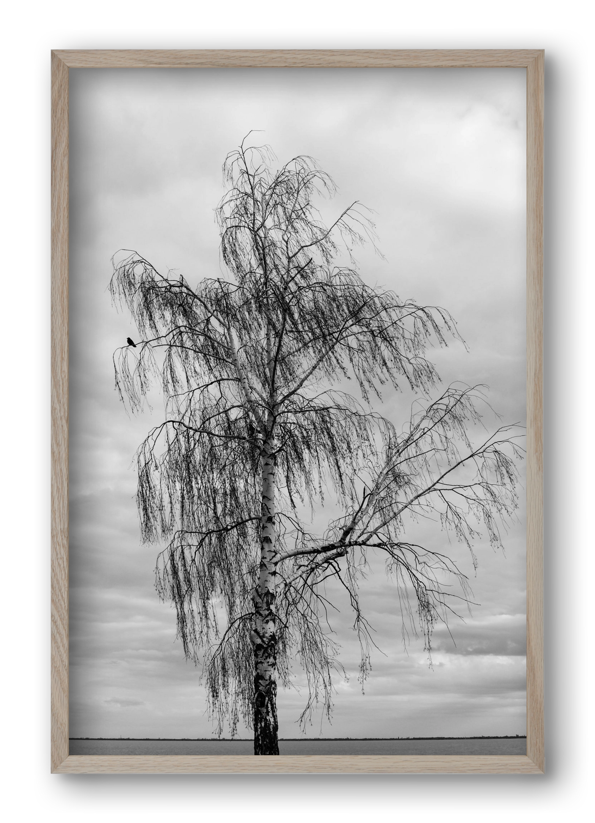 empire, 40x60 cm (40x60 cm), Tölgy keret