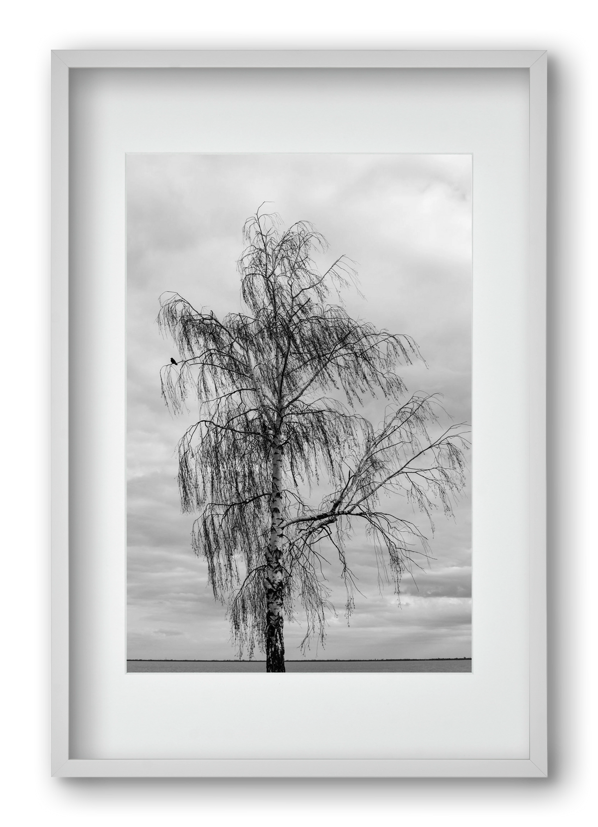 empire, 40x60 cm (30x45 cm), Fehér keret, paszpartuval