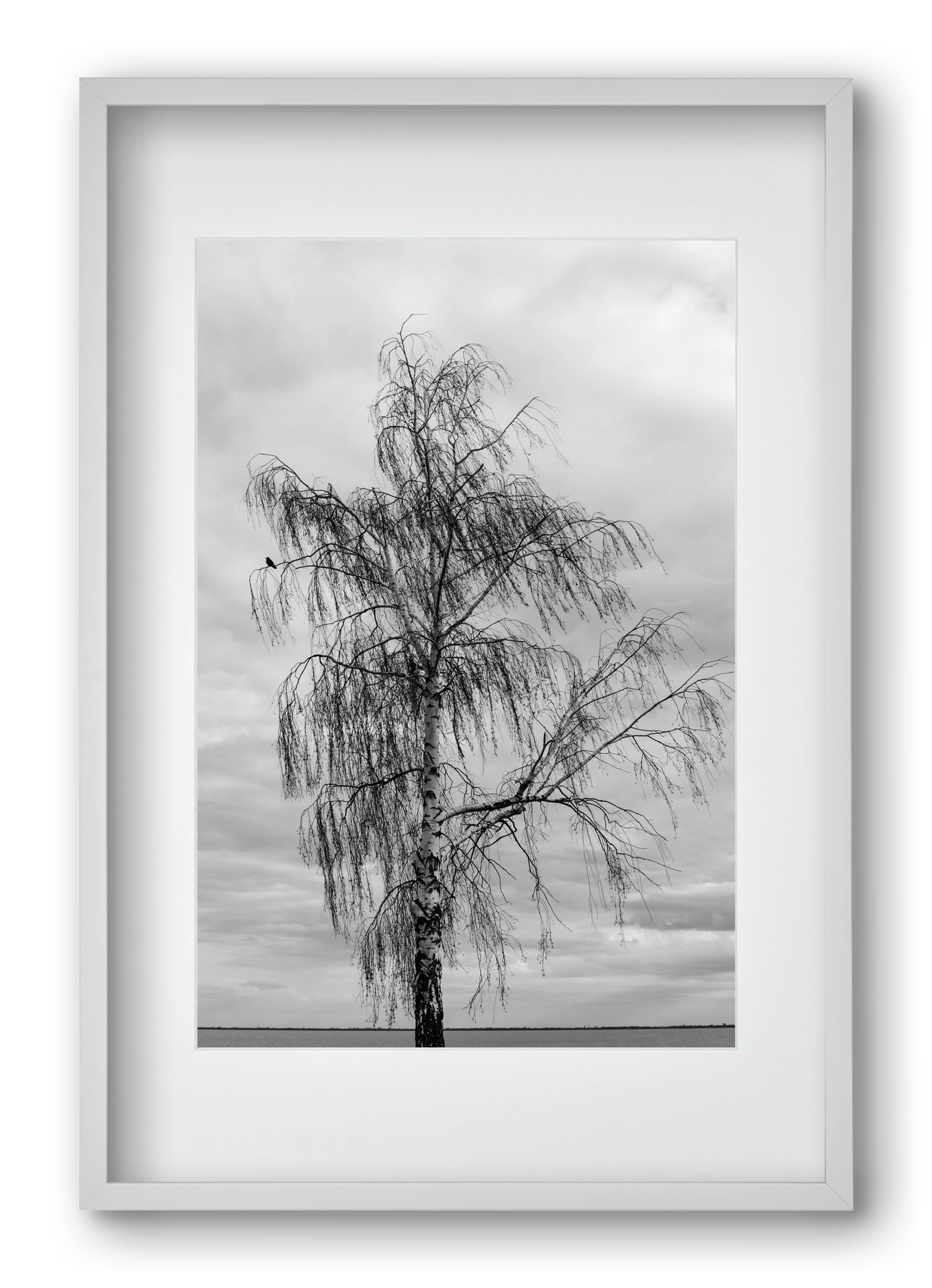 empire, 40x60 cm (30x45 cm), Fehér keret, paszpartuval