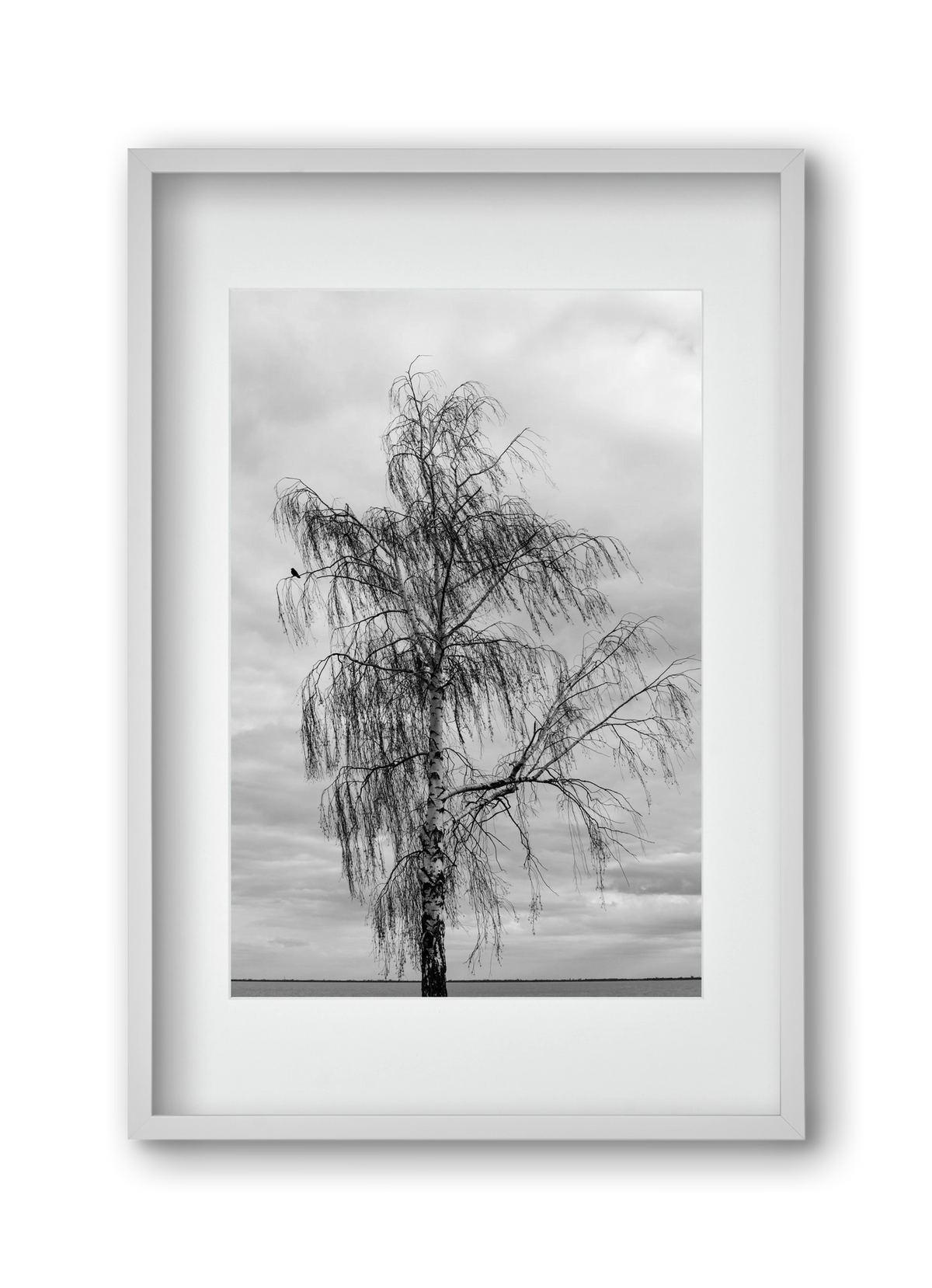 empire, 30x45 cm (20x30 cm), Fehér keret, paszpartuval