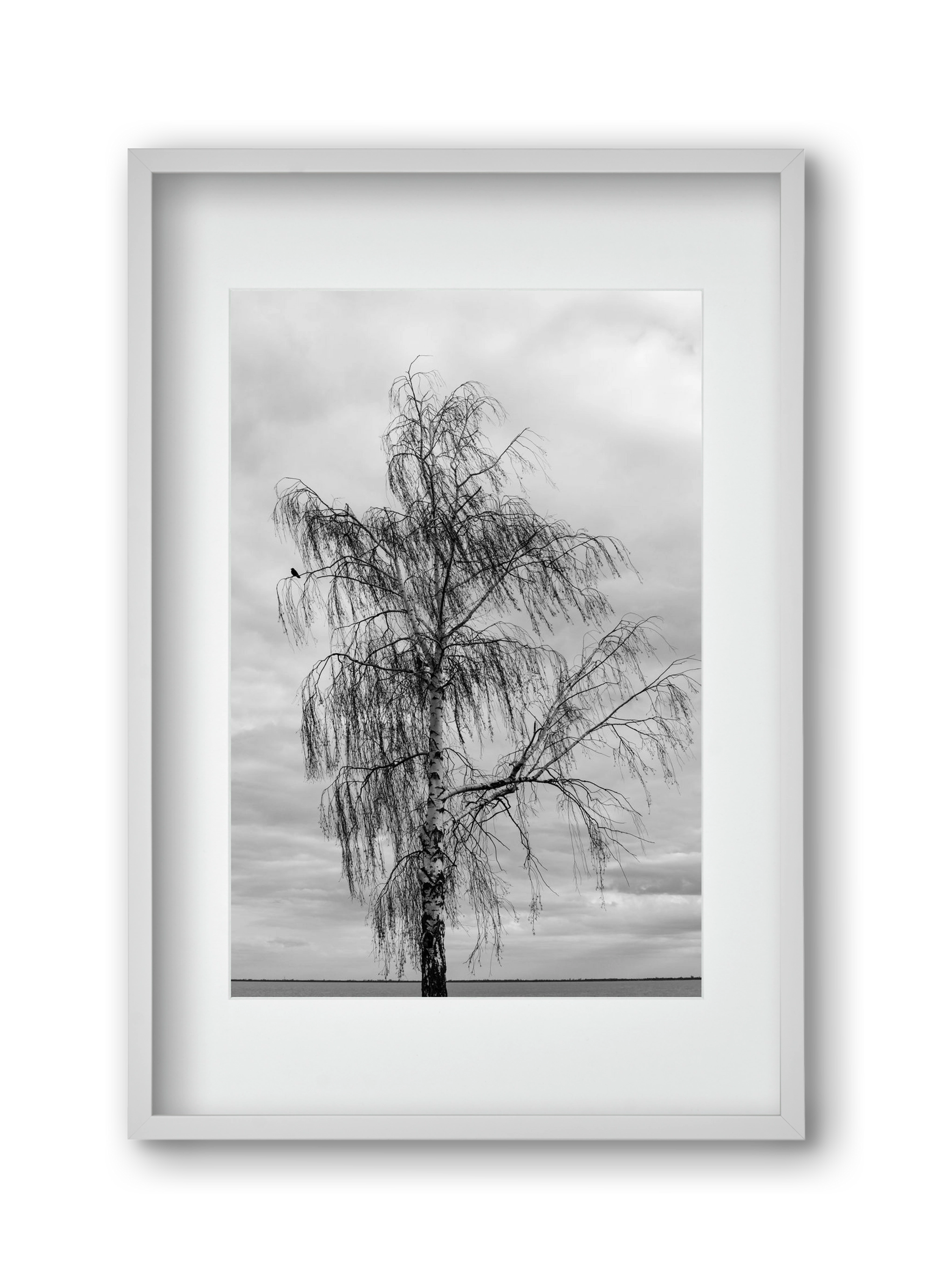 empire, 30x45 cm (20x30 cm), Fehér keret, paszpartuval