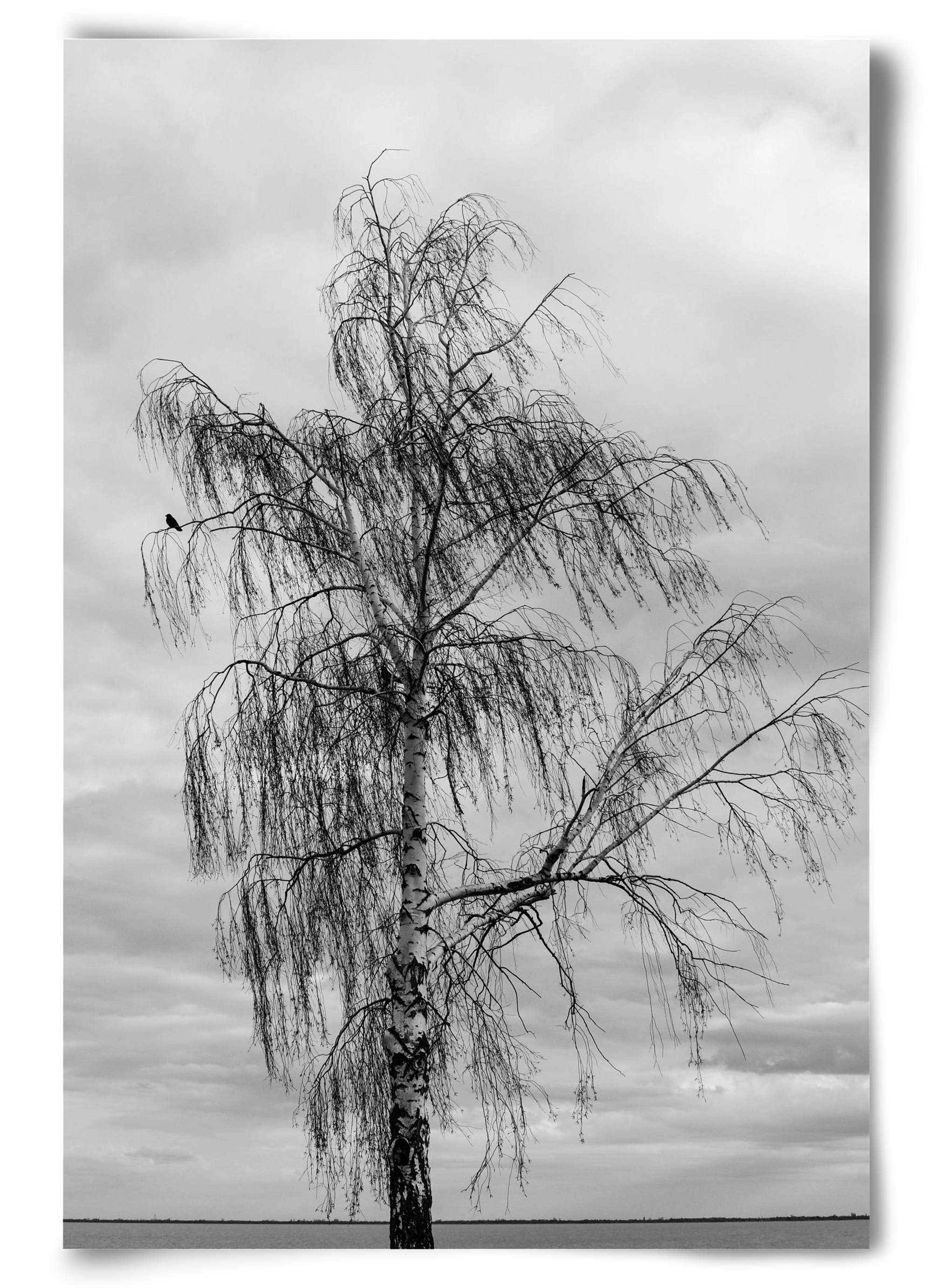 empire, 60x90 cm, Keret nélkül