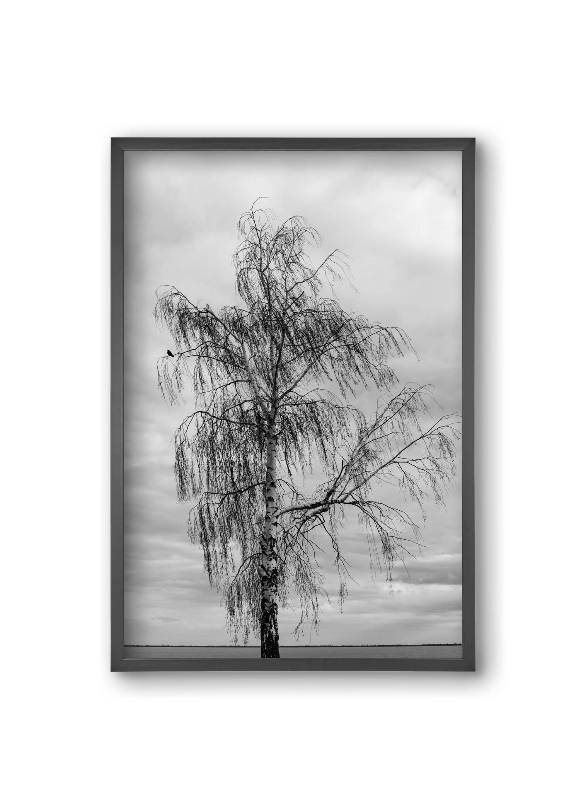 empire, 20x30 cm (20x30 cm), Fekete keret