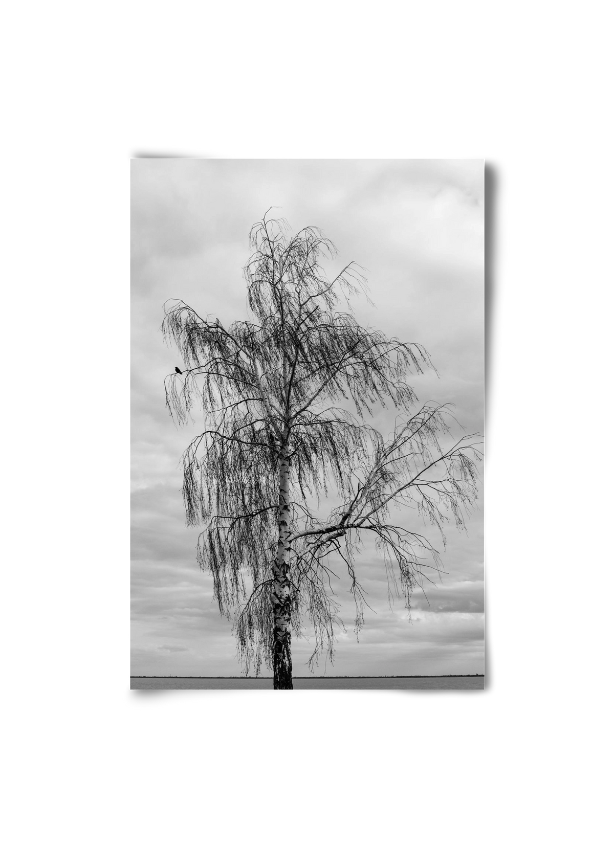 empire, 20x30 cm, Keret nélkül