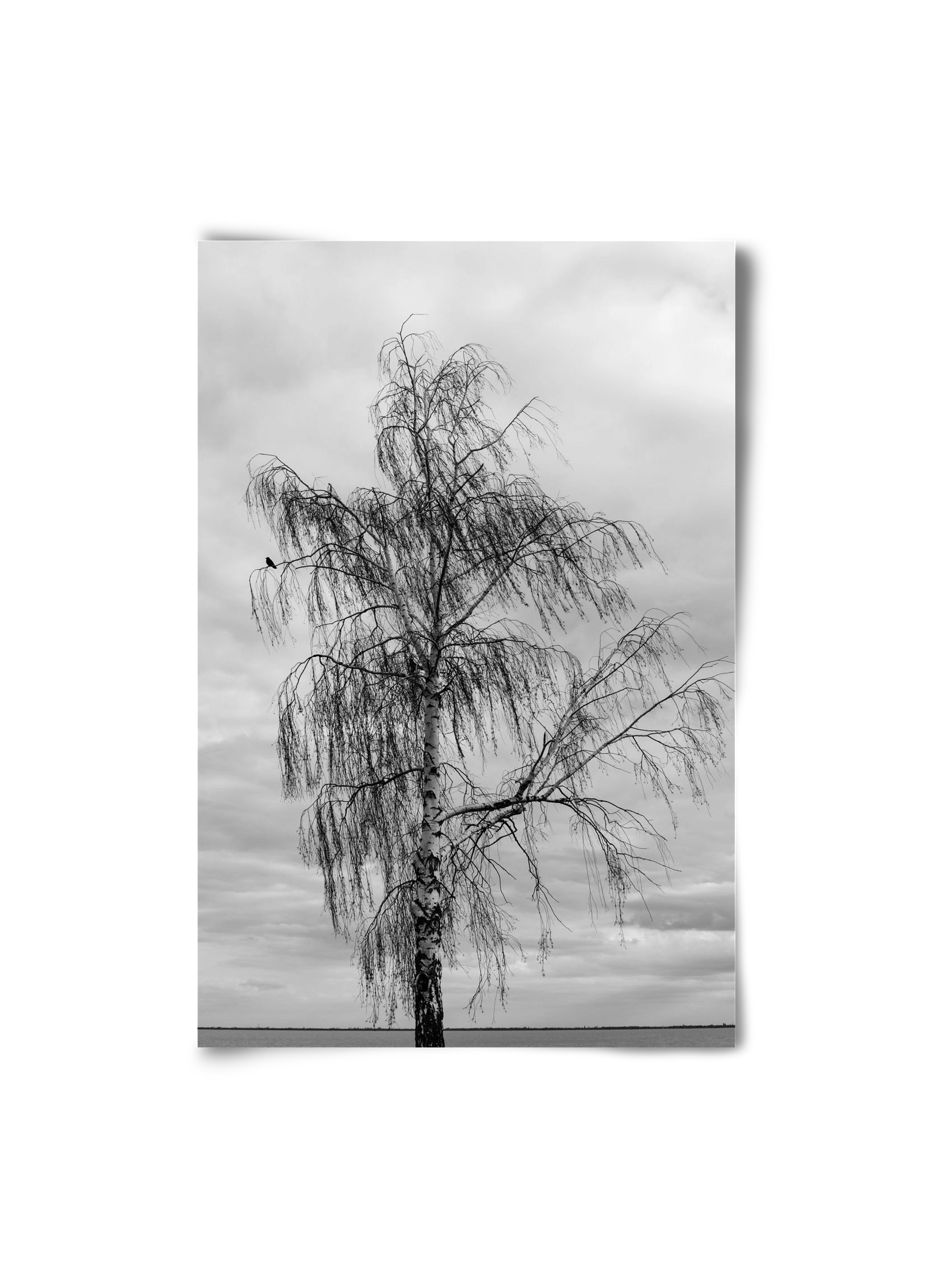 empire, 20x30 cm, Keret nélkül