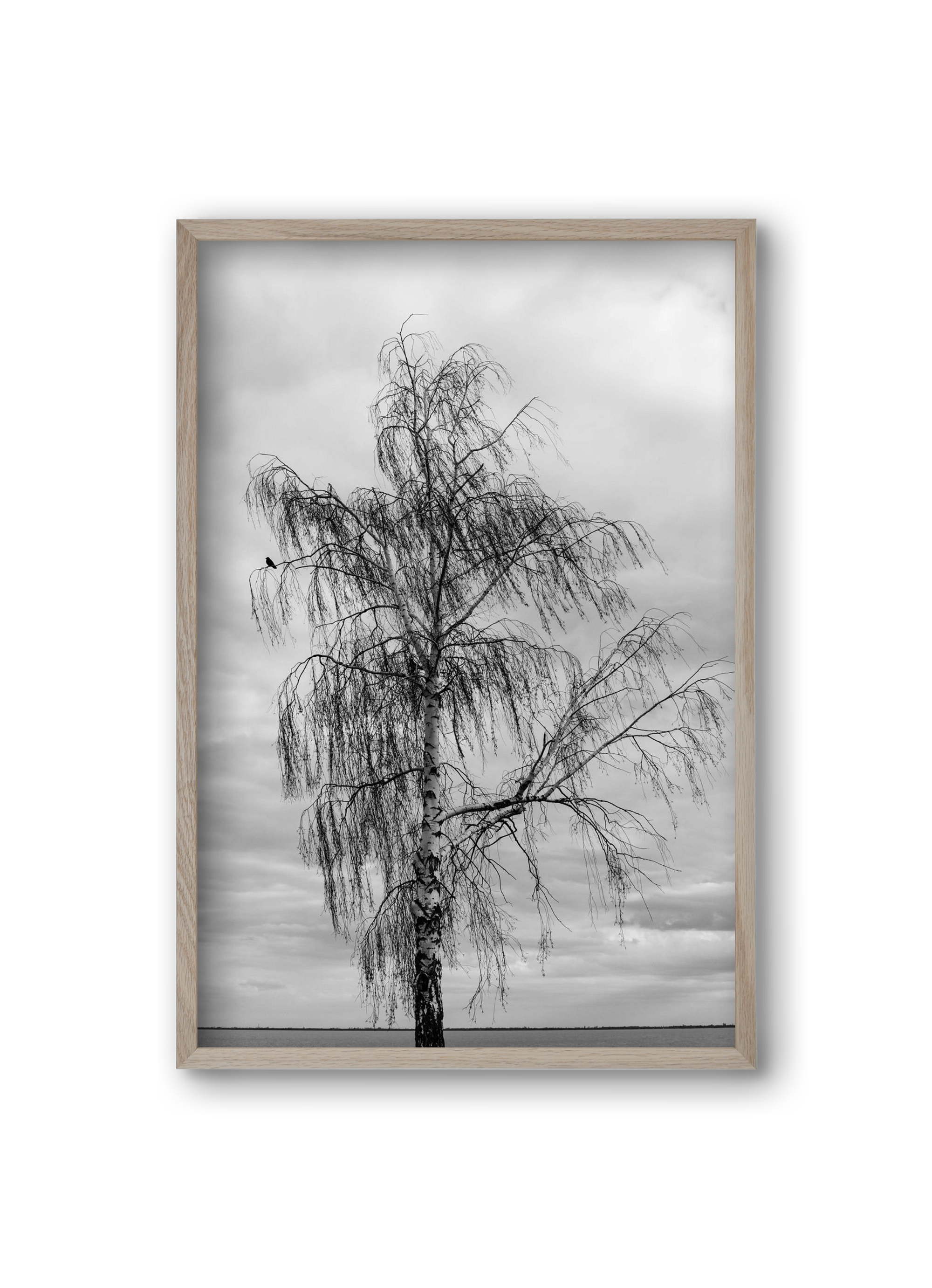 empire, 20x30 cm (20x30 cm), Tölgy keret