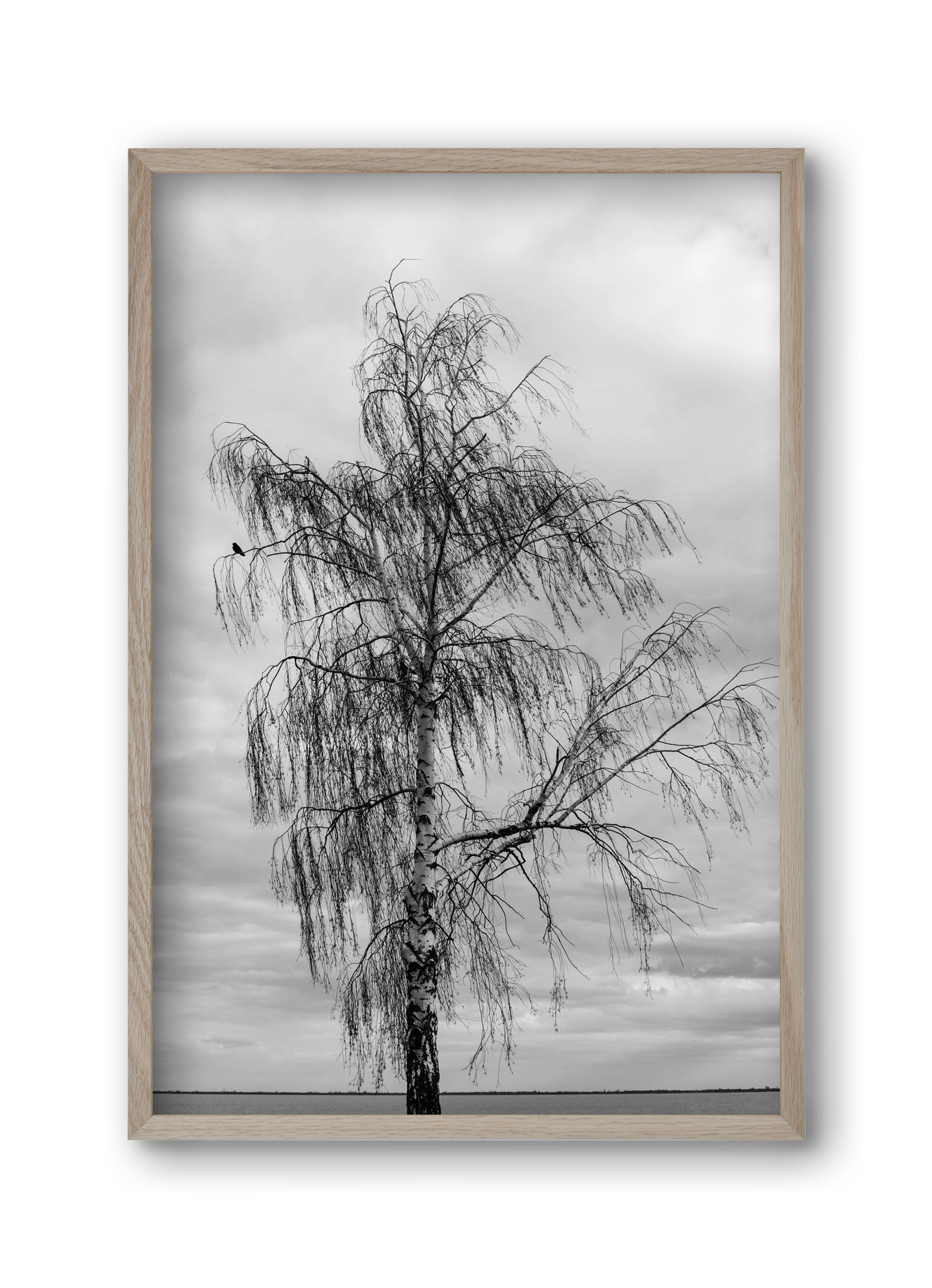 empire, 30x45 cm (30x45 cm), Tölgy keret