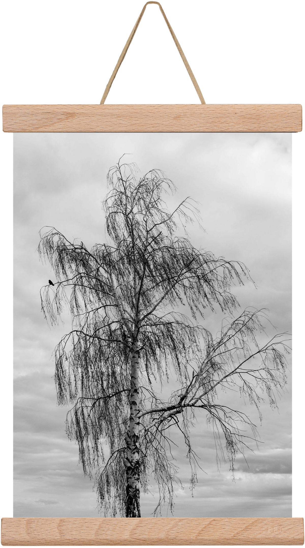 empire, 20x30 cm (20x30 cm), Tölgy akasztó
