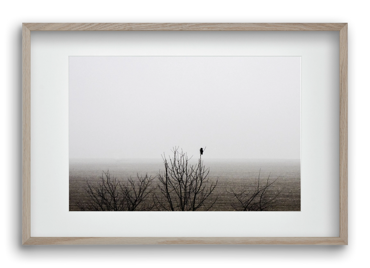 home, 60x40 cm (45x30 cm), Tölgy keret, paszpartuval