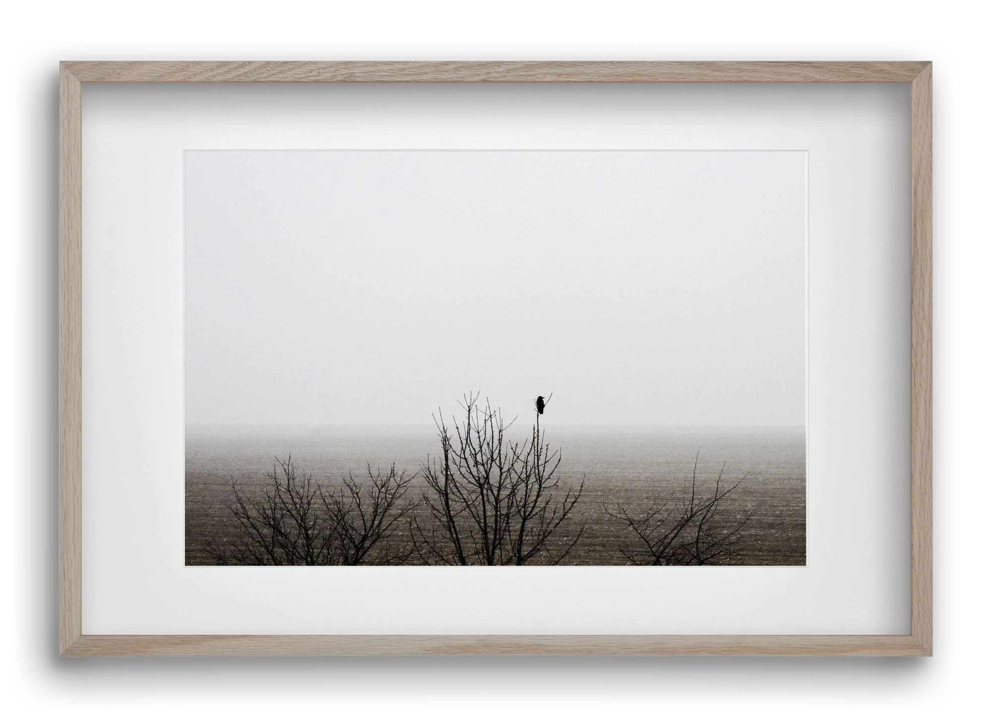 home, 60x40 cm (45x30 cm), Tölgy keret, paszpartuval