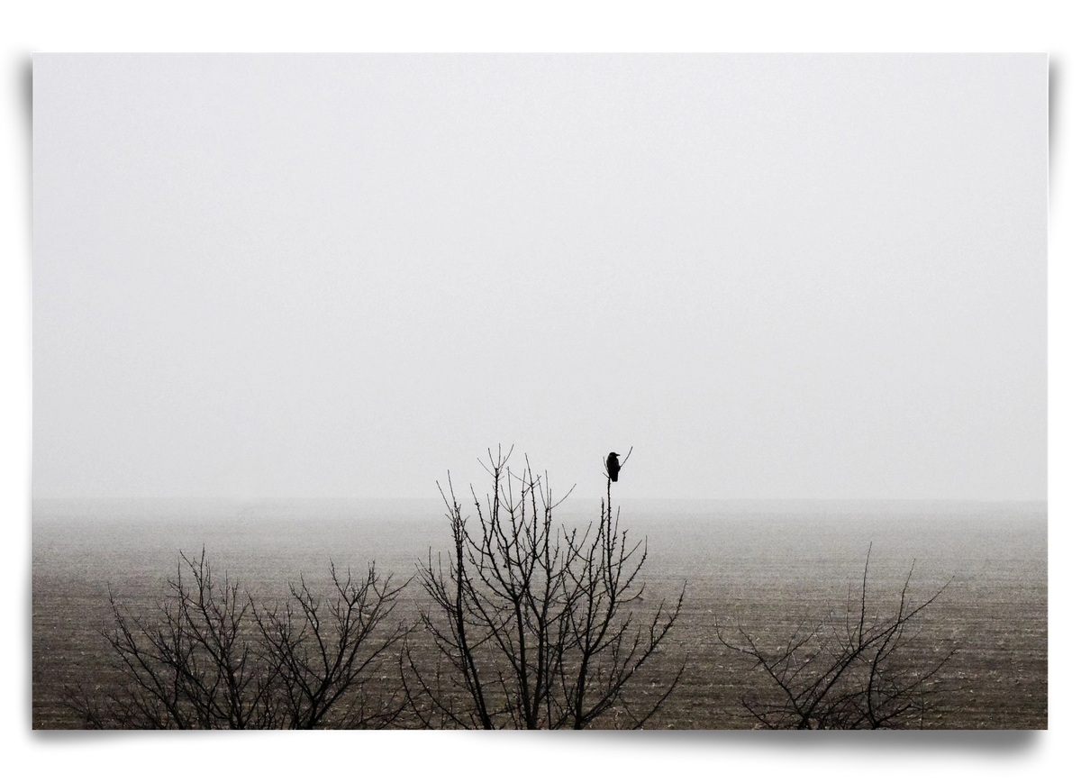 home, 90x60 cm, Keret nélkül