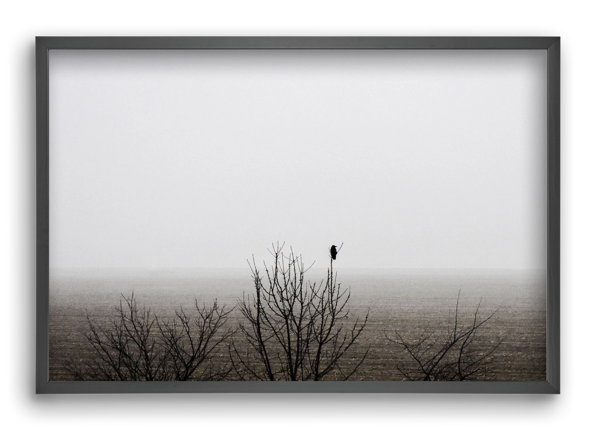 home, 60x40 cm (60x40 cm), Fekete keret