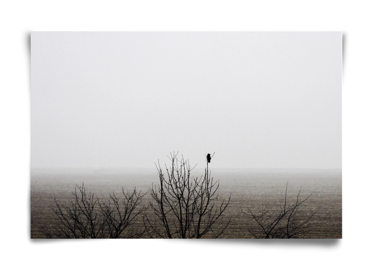 home, 60x40 cm, Keret nélkül