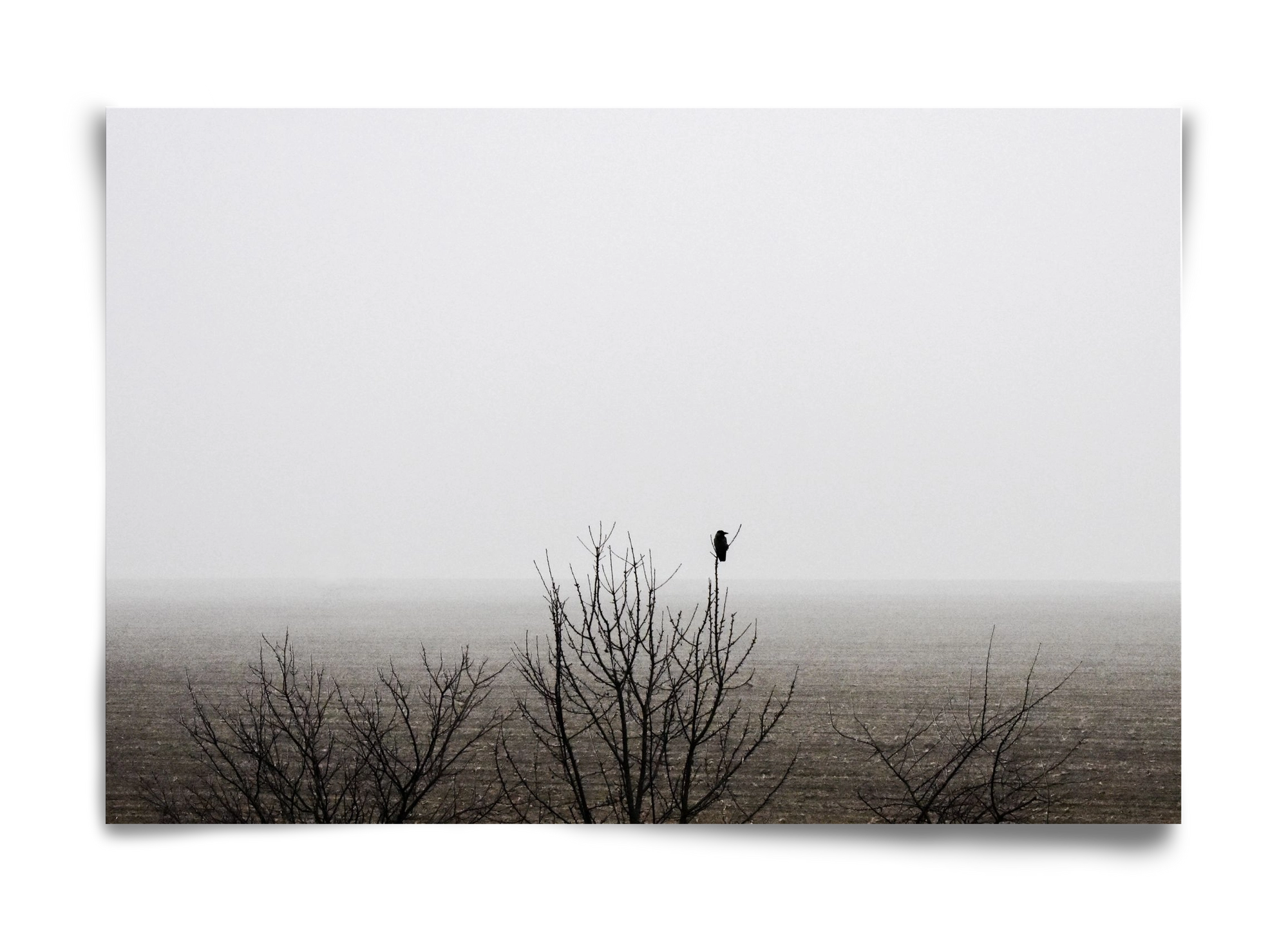 home, 60x40 cm, Keret nélkül