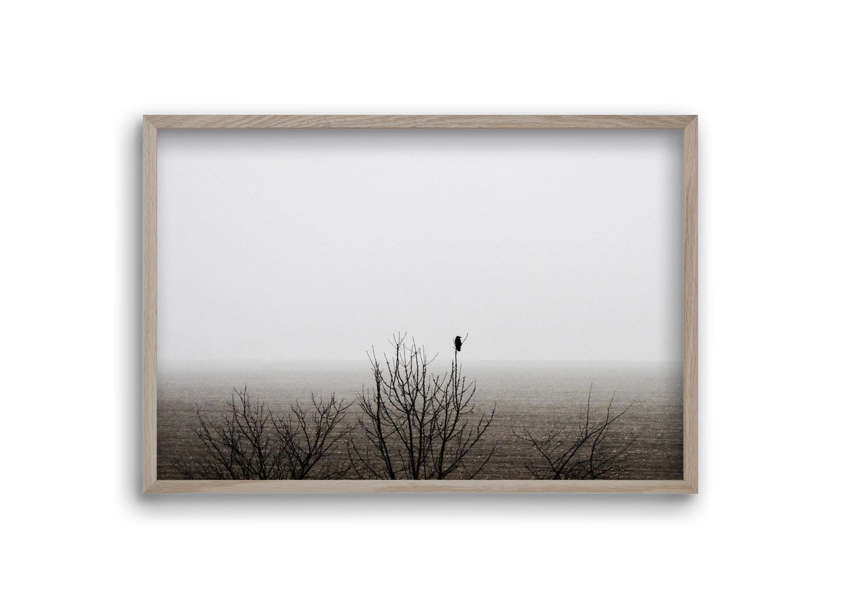 home, 30x20 cm (30x20 cm), Tölgy keret