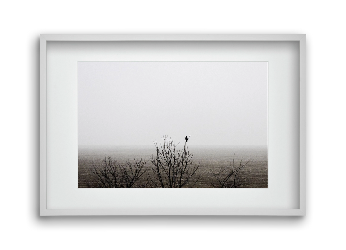 home, 45x30 cm (30x20 cm), Fehér keret, paszpartuval