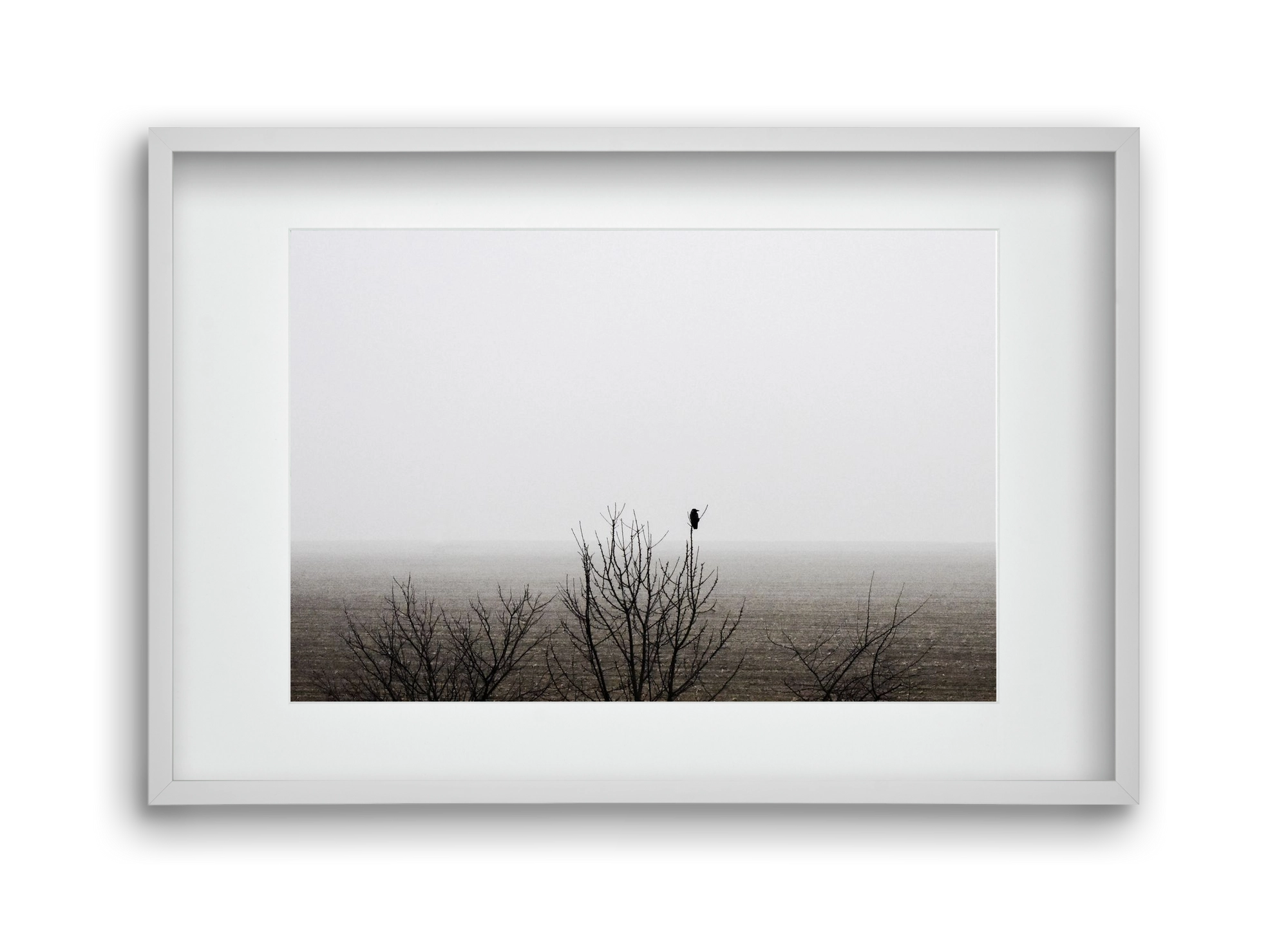 home, 45x30 cm (30x20 cm), Fehér keret, paszpartuval