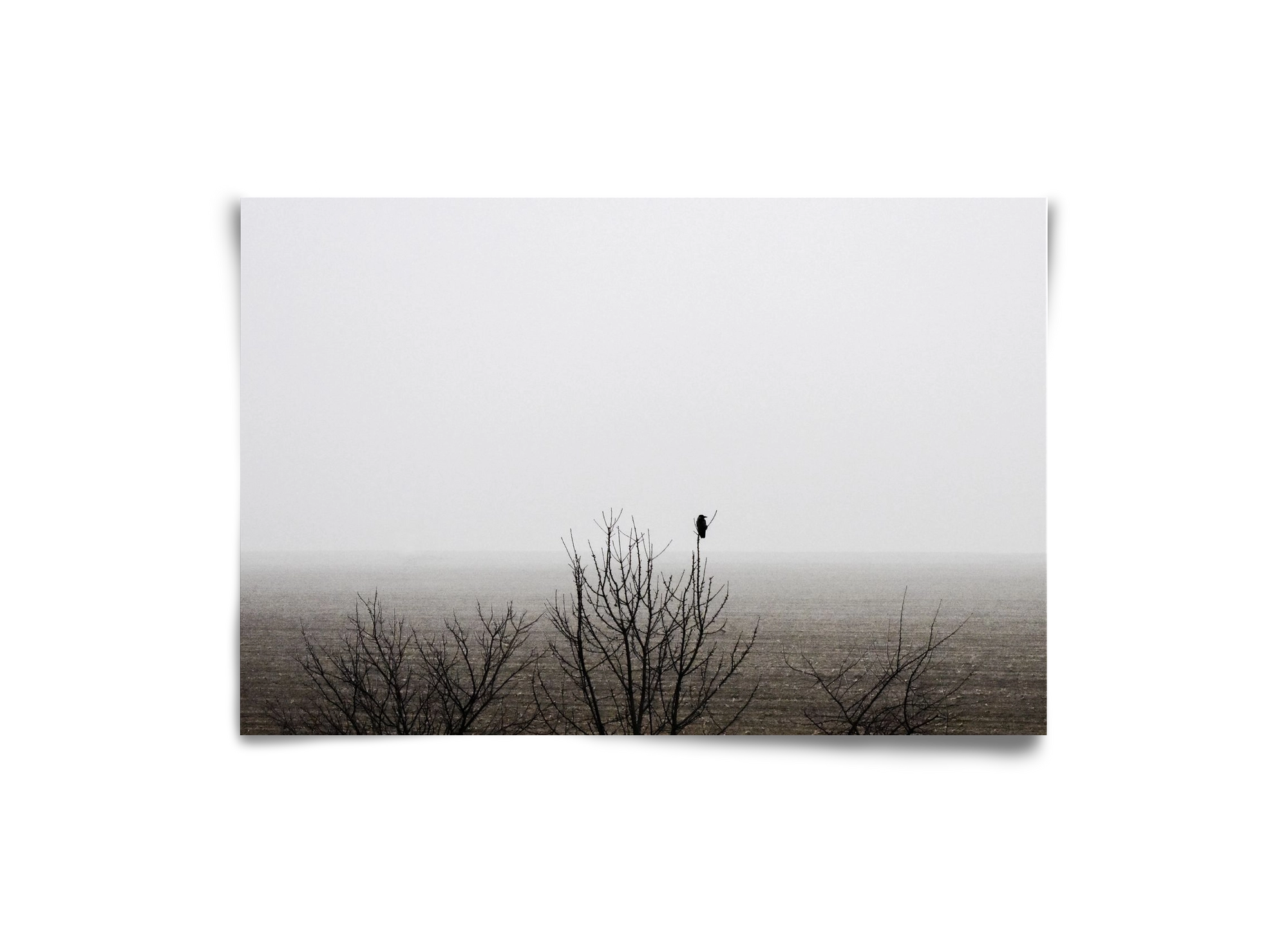 home, 30x20 cm, Keret nélkül