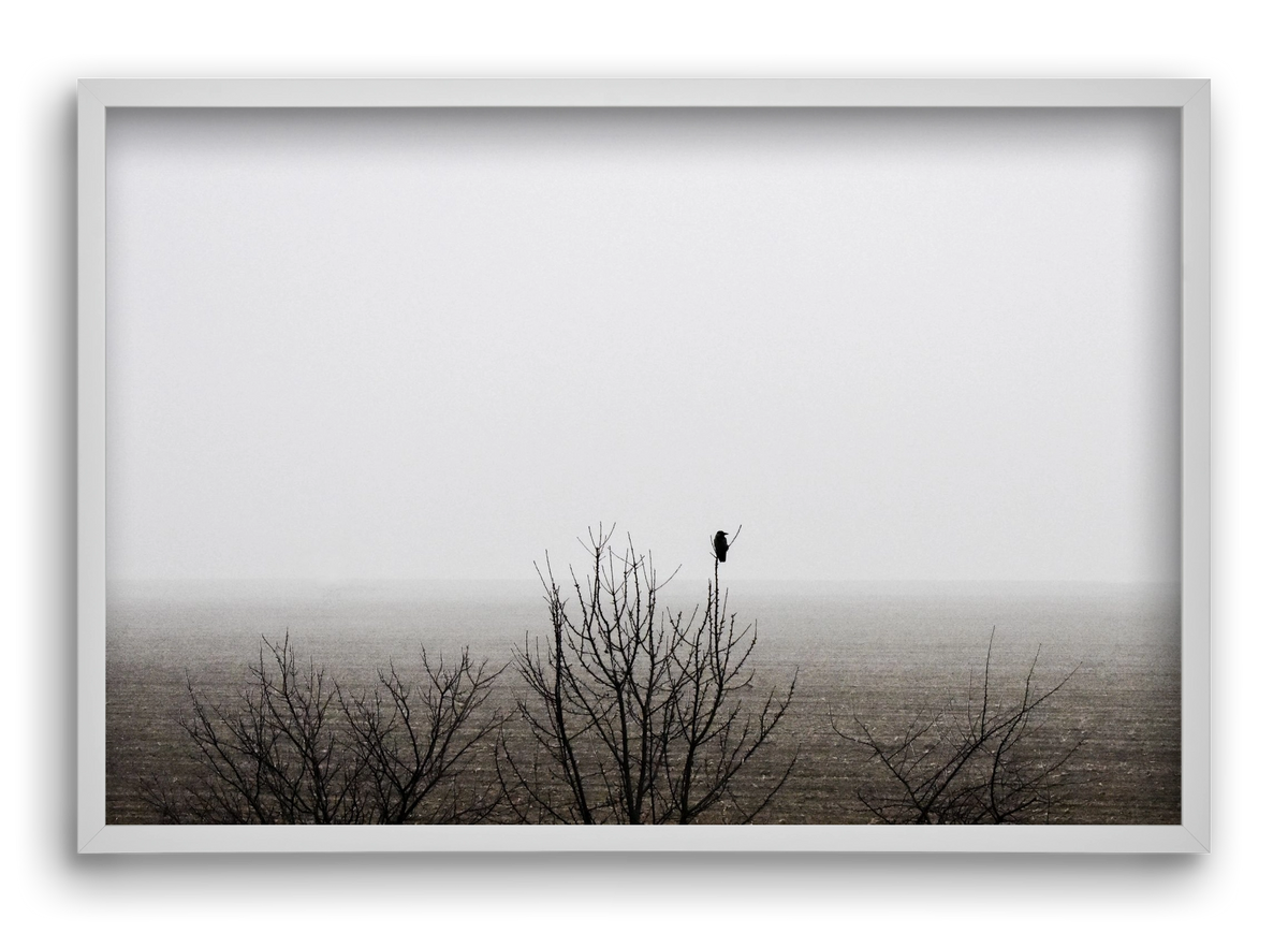 home, 60x40 cm (60x40 cm), Fehér keret