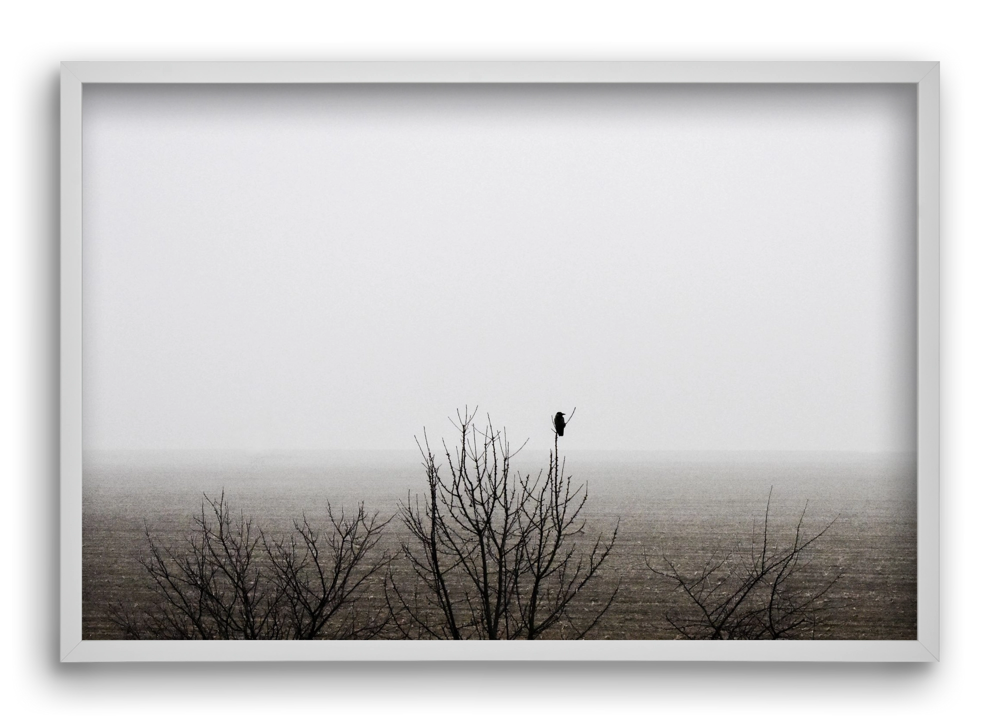 home, 60x40 cm (60x40 cm), Fehér keret