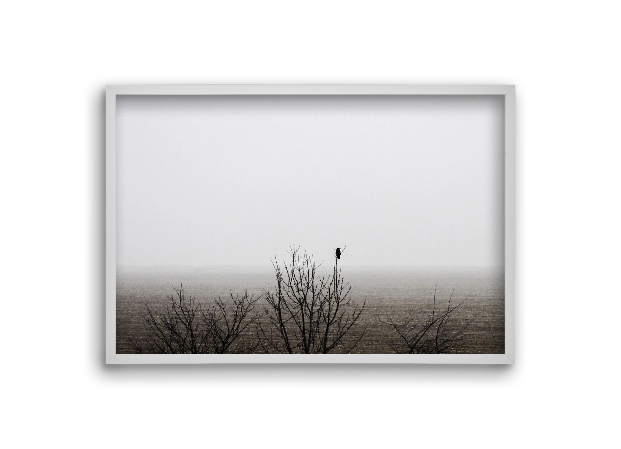 home, 30x20 cm (30x20 cm), Fehér keret