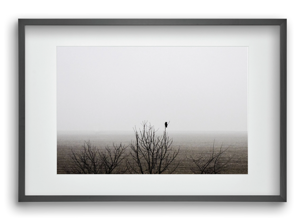 home, 60x40 cm (45x30 cm), Fekete keret, paszpartuval