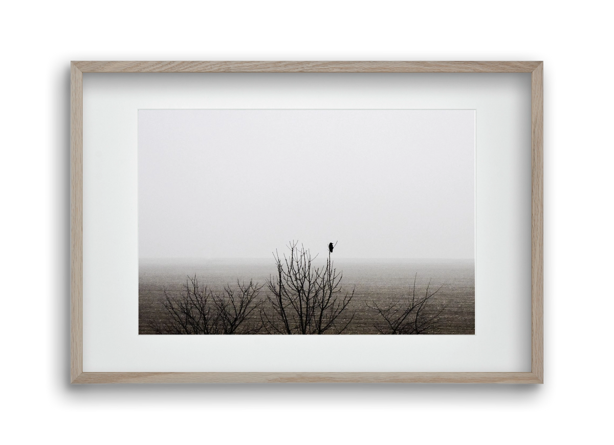 home, 45x30 cm (30x20 cm), Tölgy keret, paszpartuval