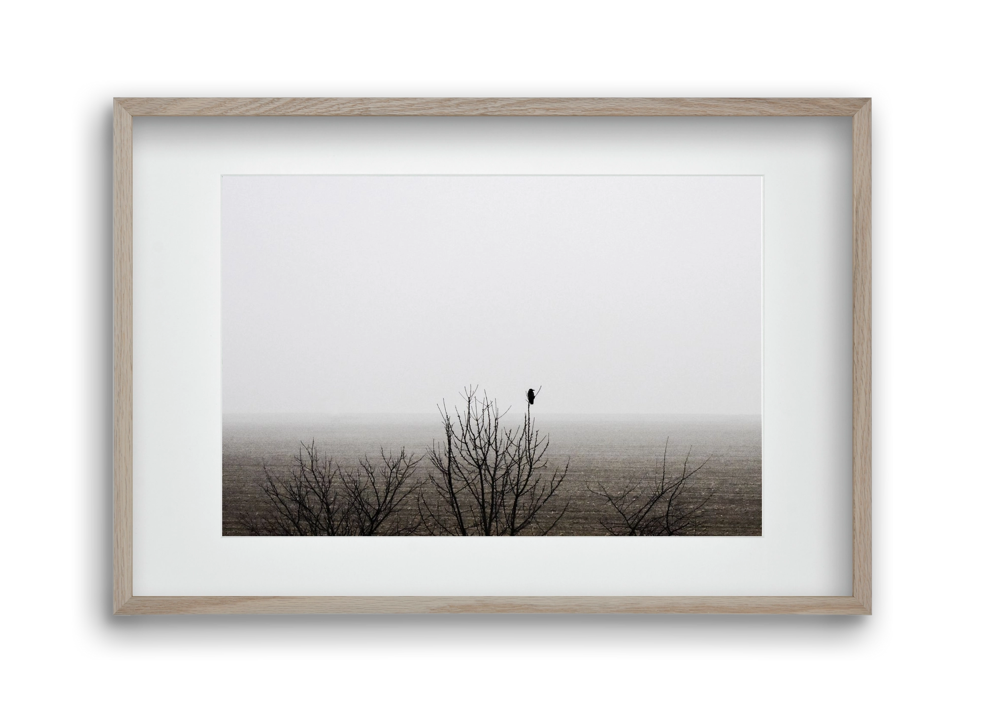 home, 45x30 cm (30x20 cm), Tölgy keret, paszpartuval