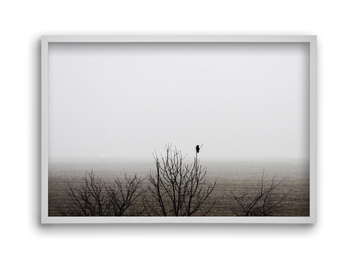 home, 45x30 cm (45x30 cm), Fehér keret