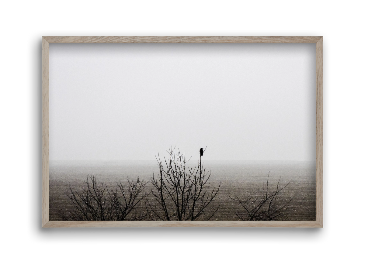 home, 45x30 cm (45x30 cm), Tölgy keret