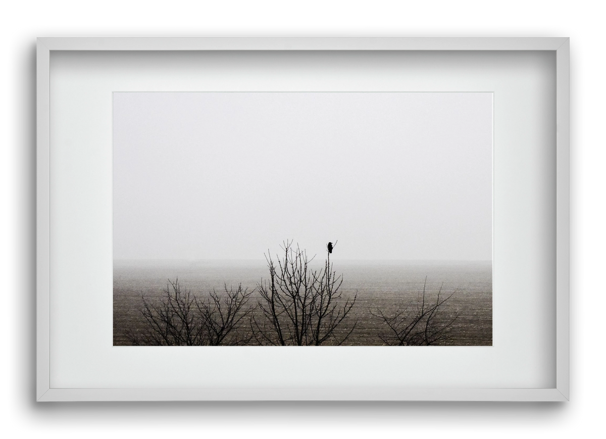 home, 60x40 cm (45x30 cm), Fehér keret, paszpartuval