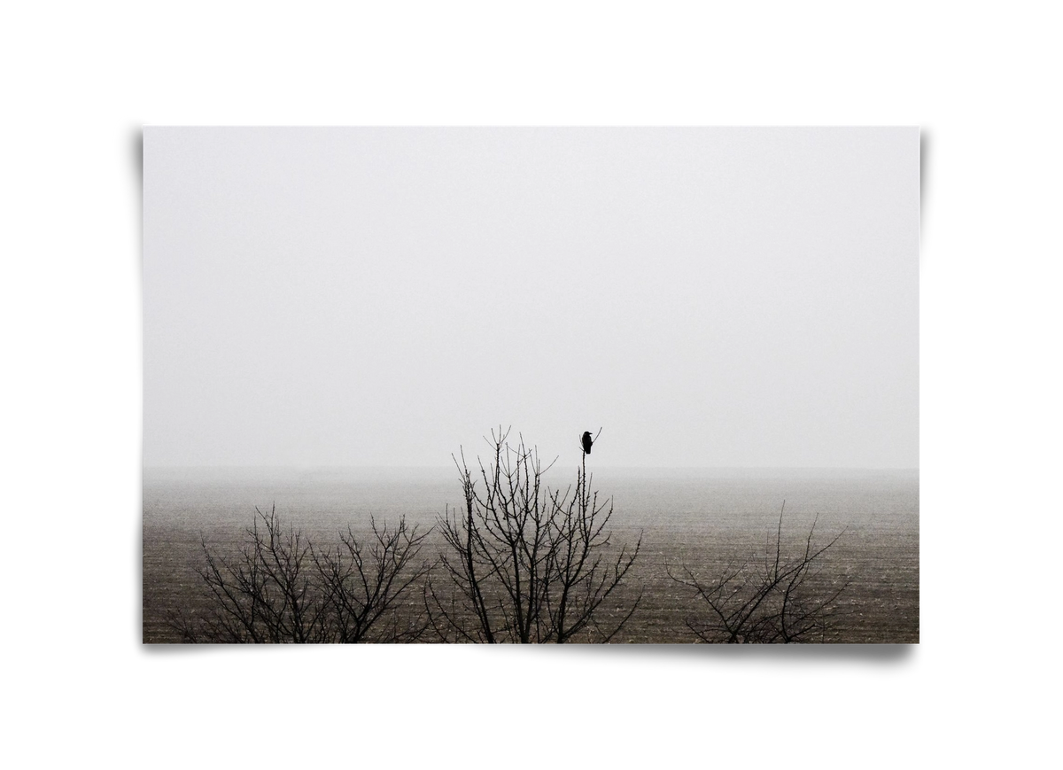 home, 45x30 cm, Keret nélkül